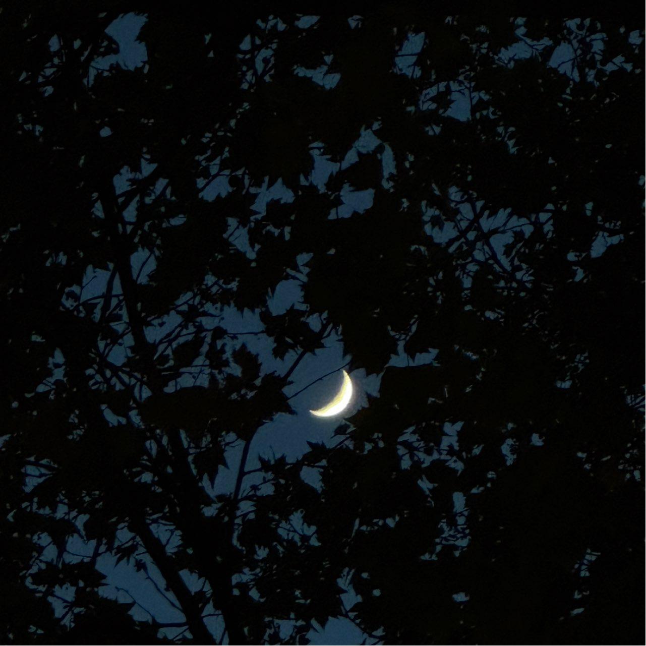 The Moon over Hamburg, Deutschland — waxing crescent, Lunar Day 5