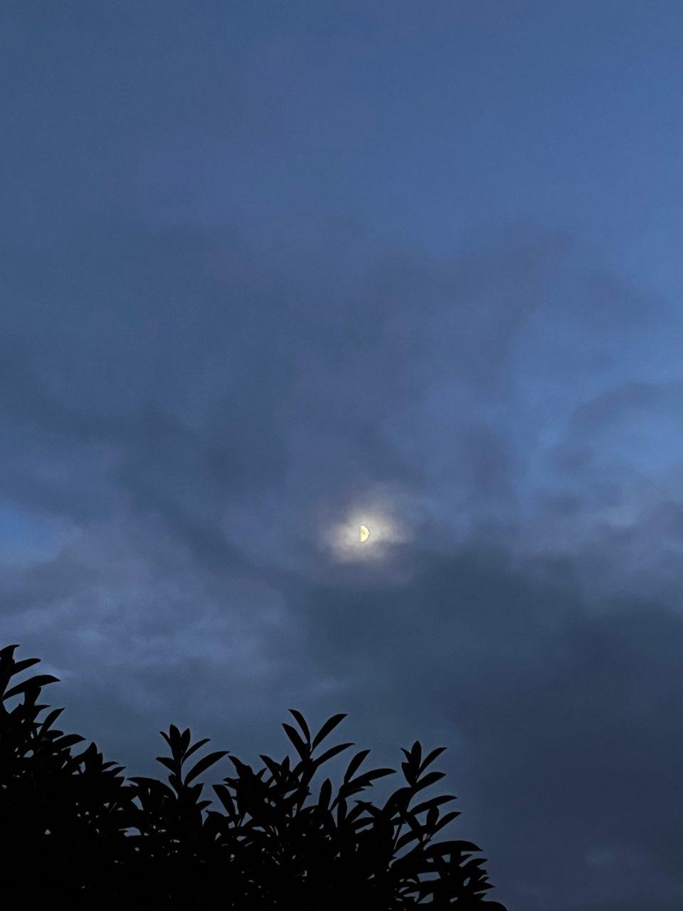 The Moon over Le Val d'Hazey, France — first quarter, Lunar Day 8