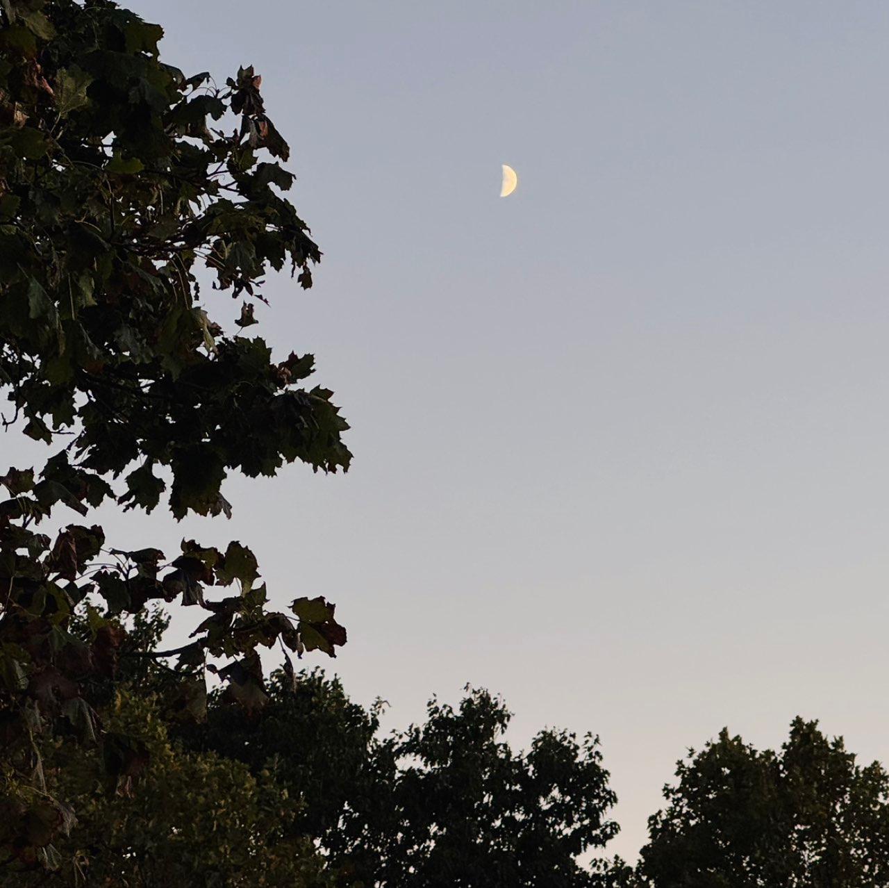 The Moon over Rochester, United States — first quarter, Lunar Day 8