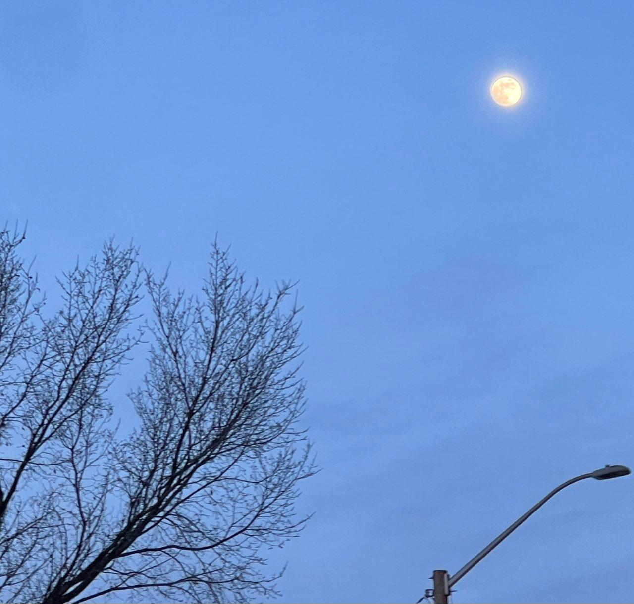 The Moon over Calgary, Canada — full moon, Lunar Day 14