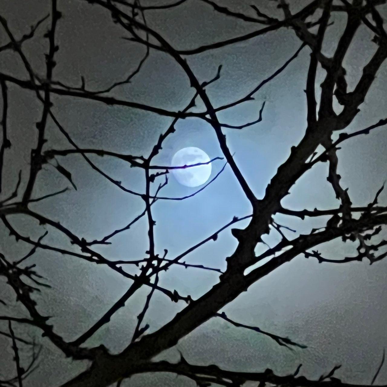 The Moon over Suresnes, France — full moon, Lunar Day 13