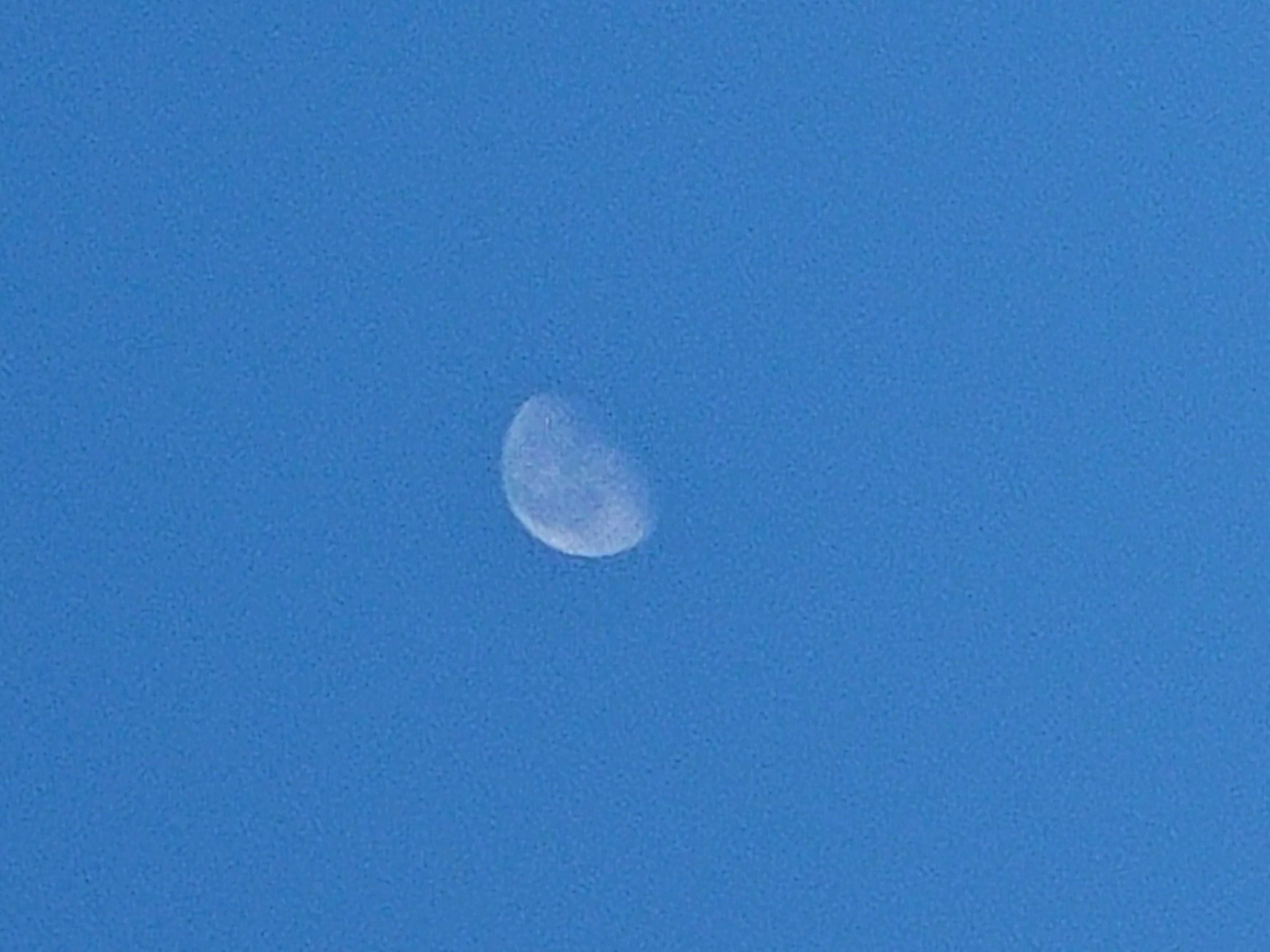 The Moon over Indianapolis, United States — waning gibbous, Lunar Day 20