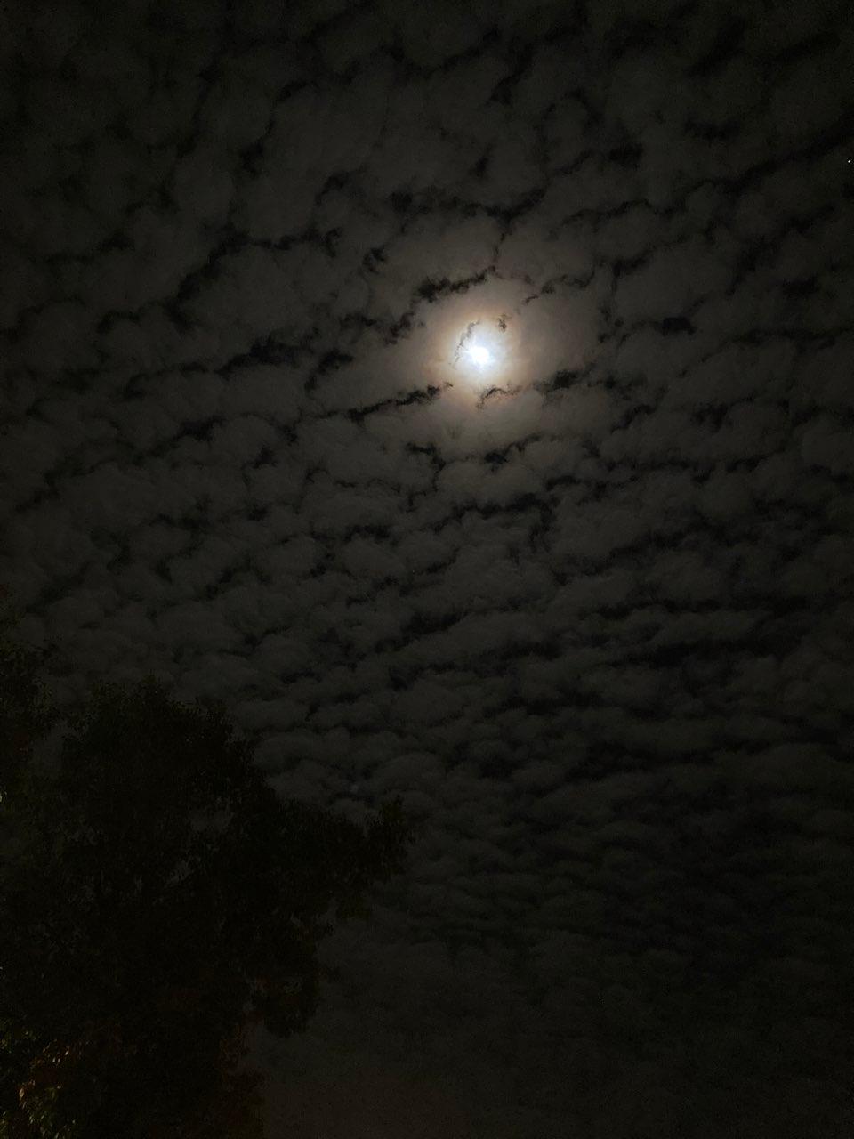 The Moon over Puerto Real, España — full moon, Lunar Day 14