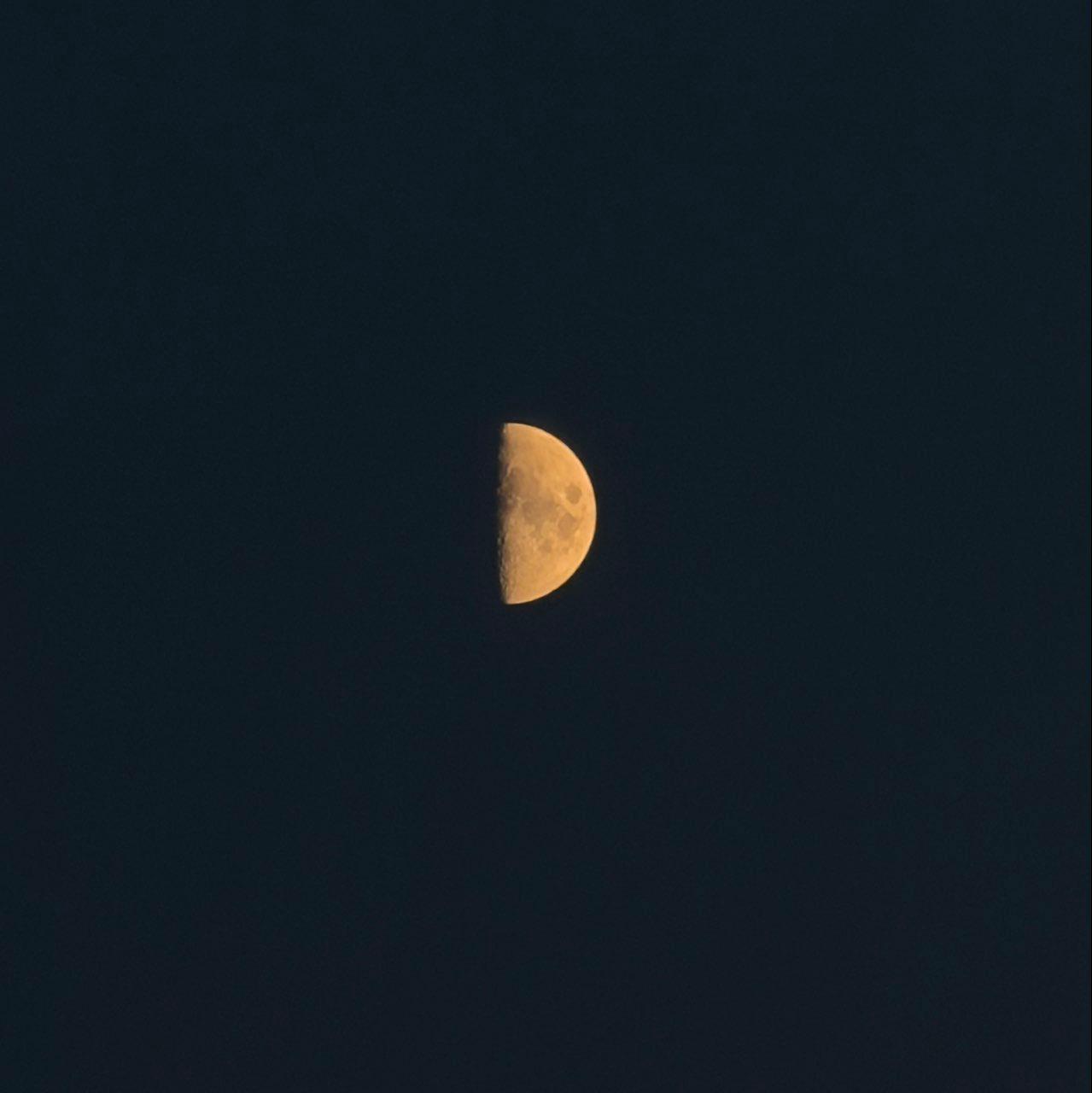 The Moon over Pelt, België — first quarter, Lunar Day 8
