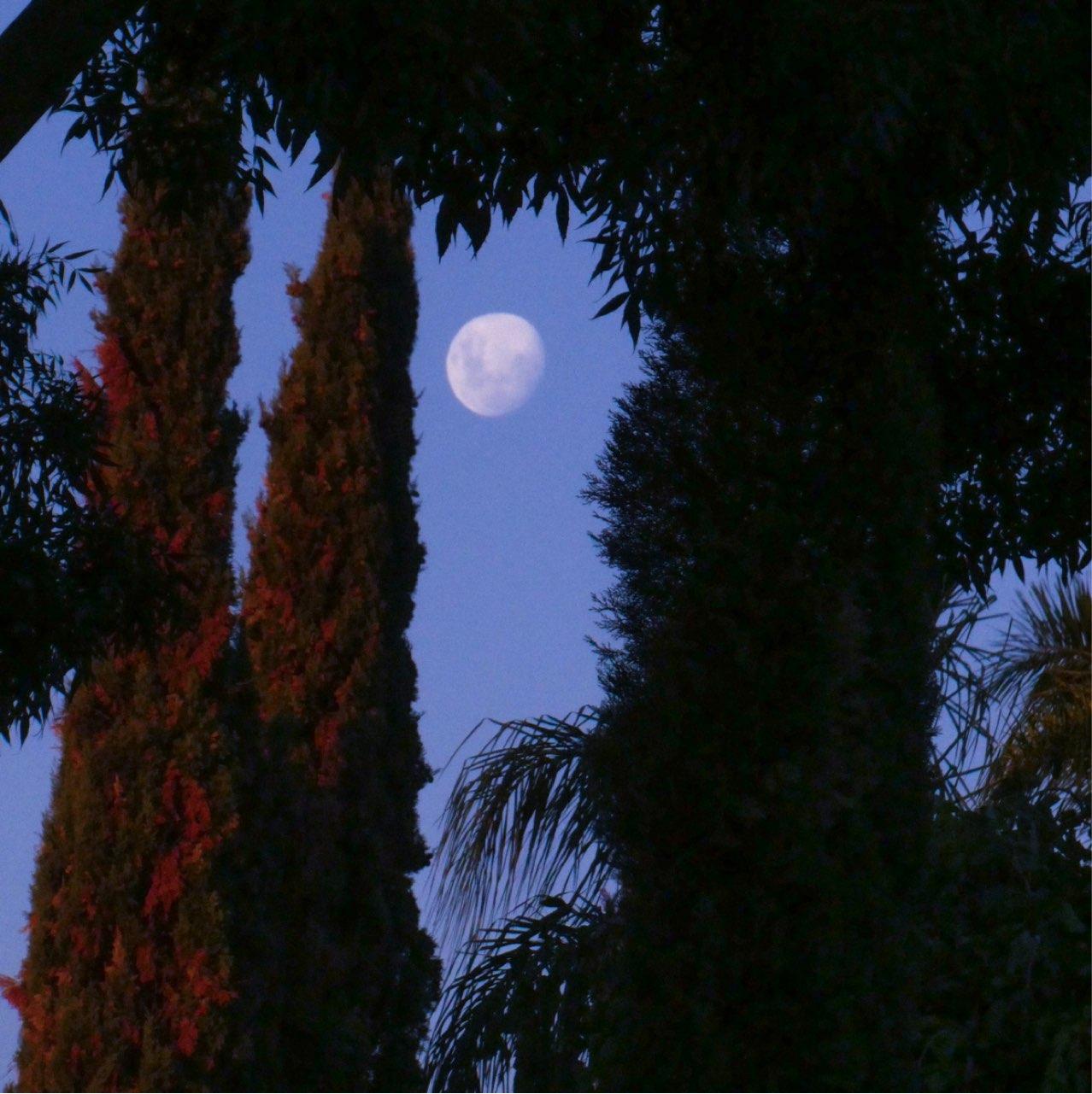 The Moon over Adelaide, Australia — waxing gibbous, Lunar Day 13