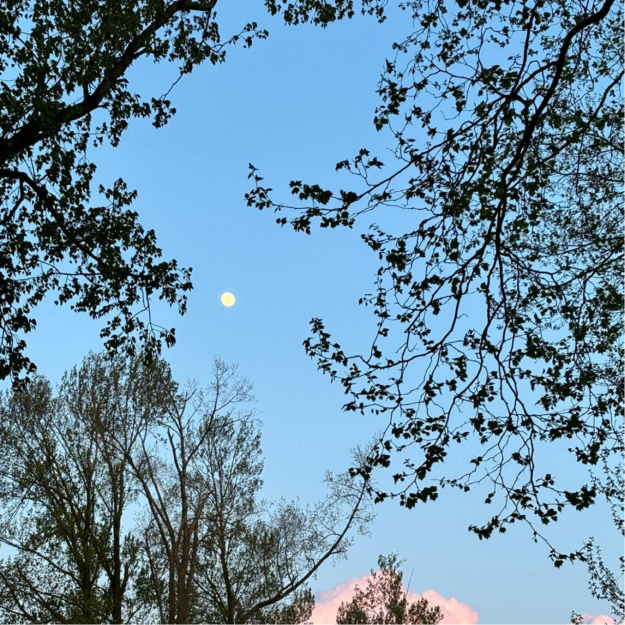 The Moon over Zaandam, Nederland — full moon, Lunar Day 15