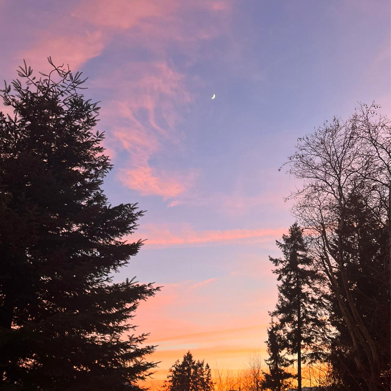 The Moon over Port Alberni, Canada — waxing crescent, Lunar Day 6