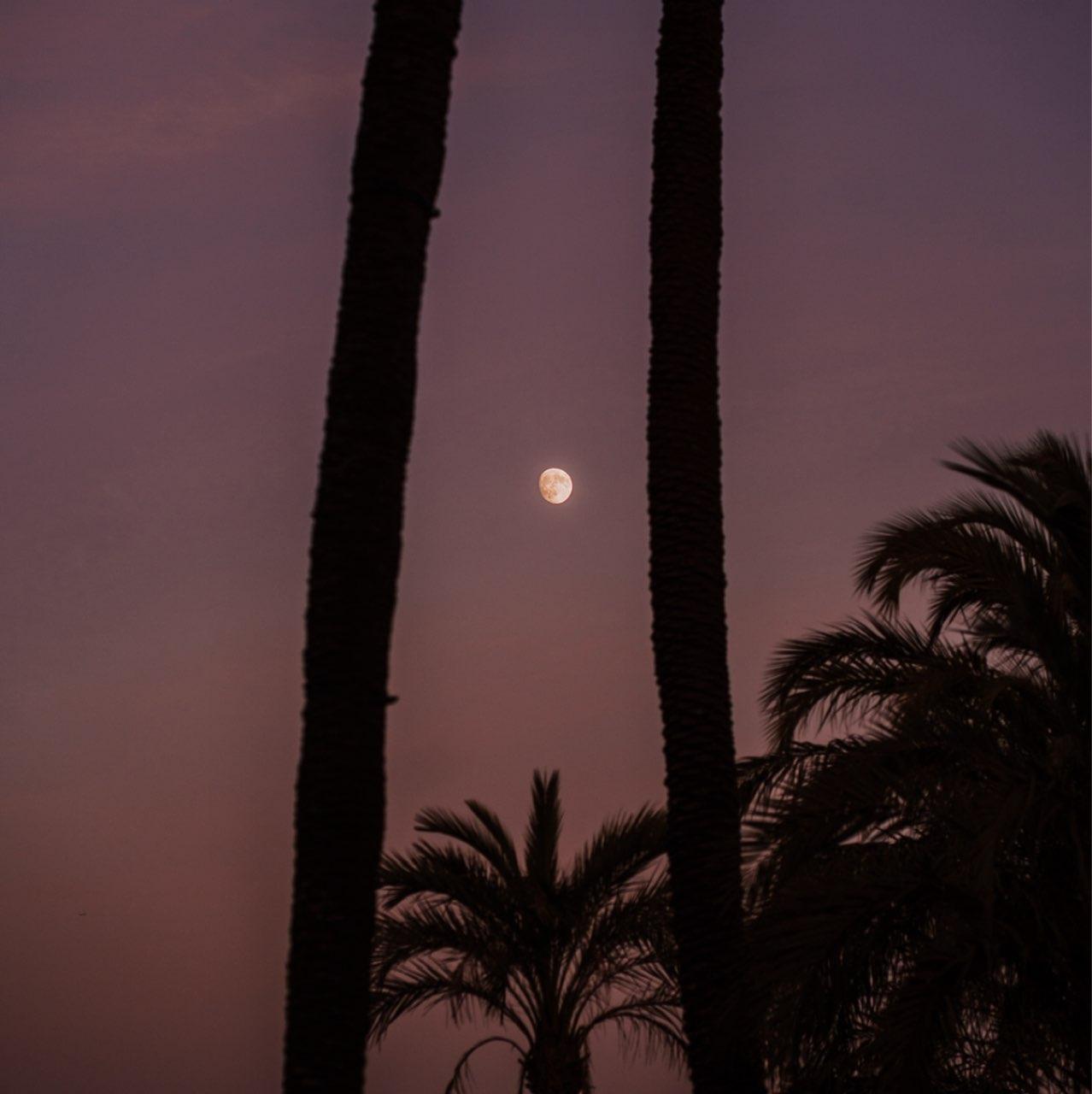 The Moon over Picanya, España — full moon, Lunar Day 15