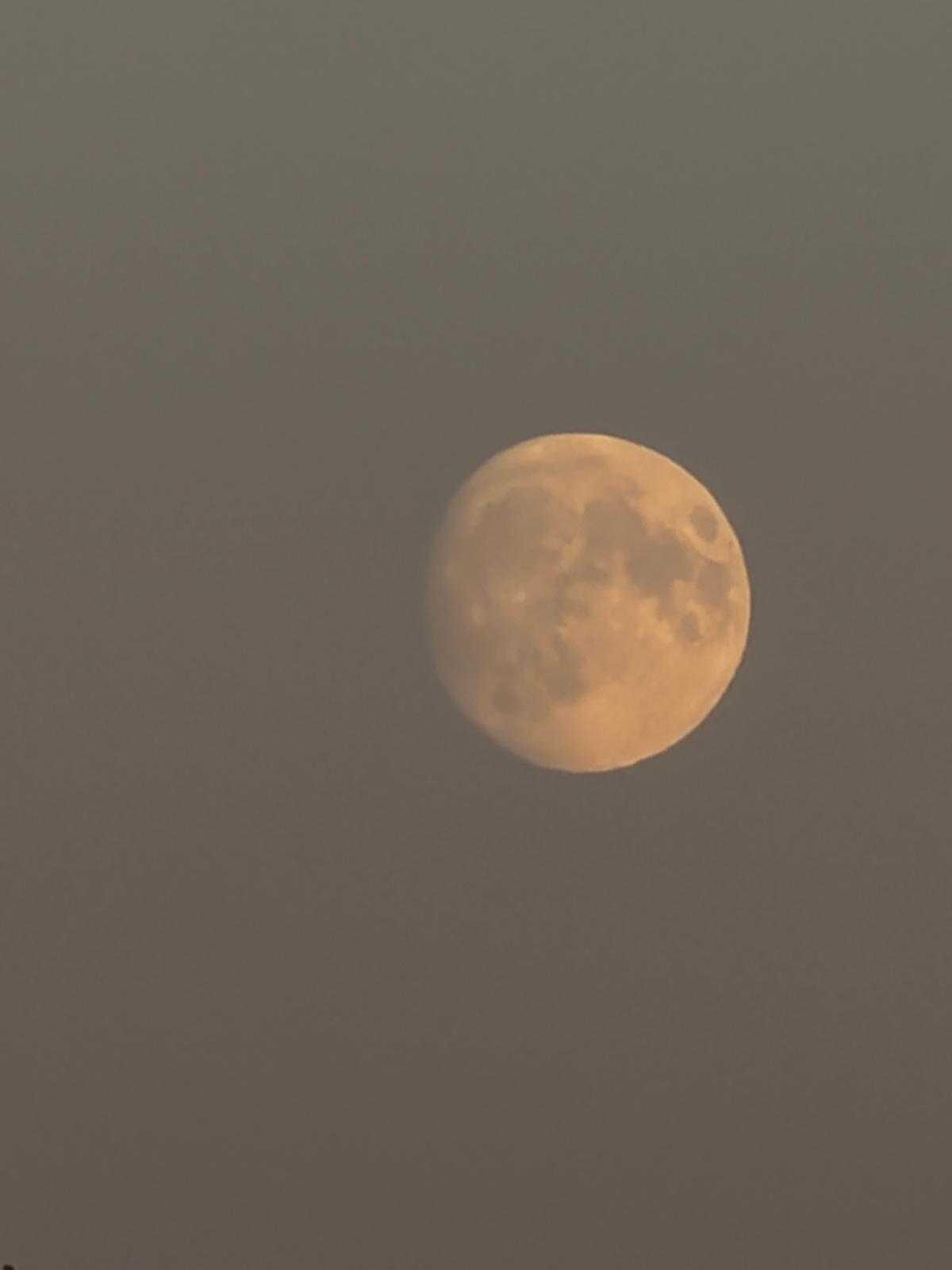 The Moon over Rijswijk, Nederland — waxing gibbous, Lunar Day 14