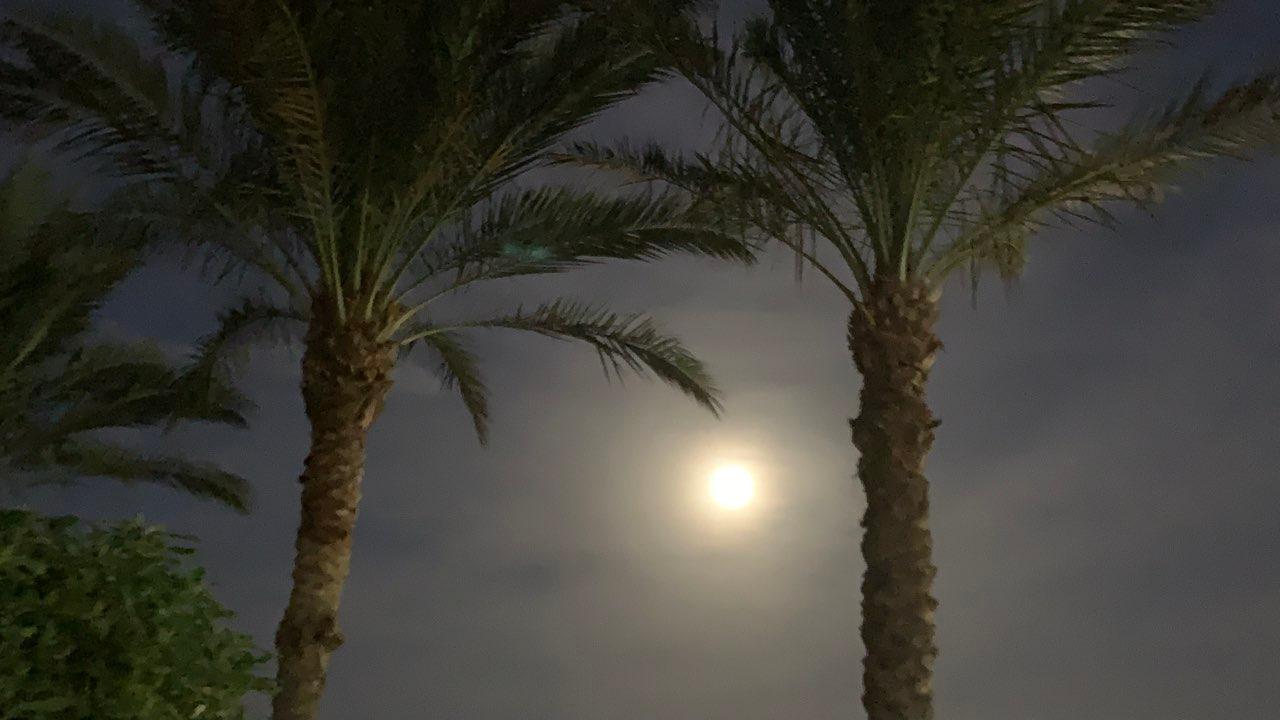 The Moon over Ingolstadt, Deutschland — full moon, Lunar Day 14