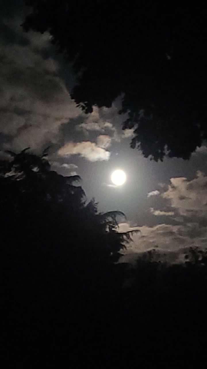 The Moon over Moormerland, Deutschland — waning gibbous, Lunar Day 18