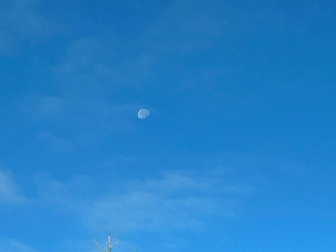 The Moon over Newington, United States — waning gibbous, Lunar Day 20