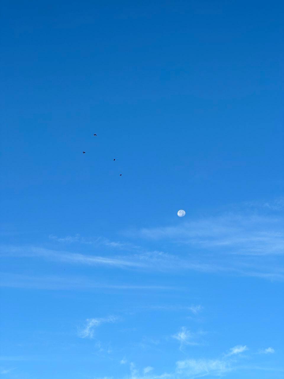 The Moon over Sevilla, España — waning gibbous, Lunar Day 18