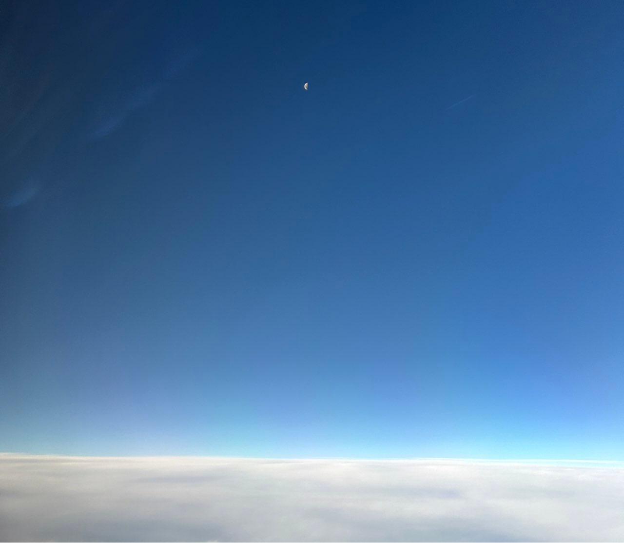The Moon over Wellington, New Zealand — first quarter, Lunar Day 8