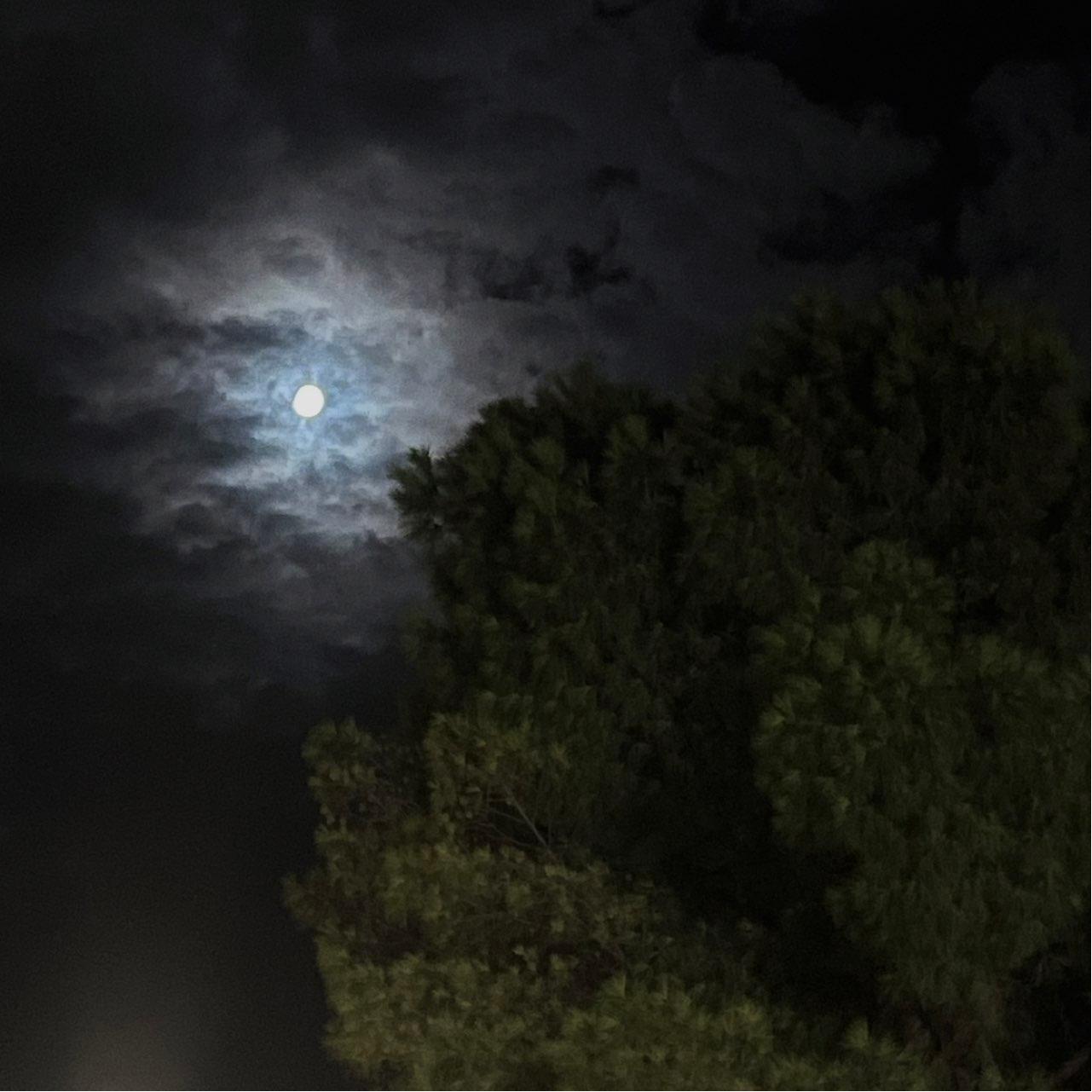 The Moon over Bari, Italia — waxing gibbous, Lunar Day 14