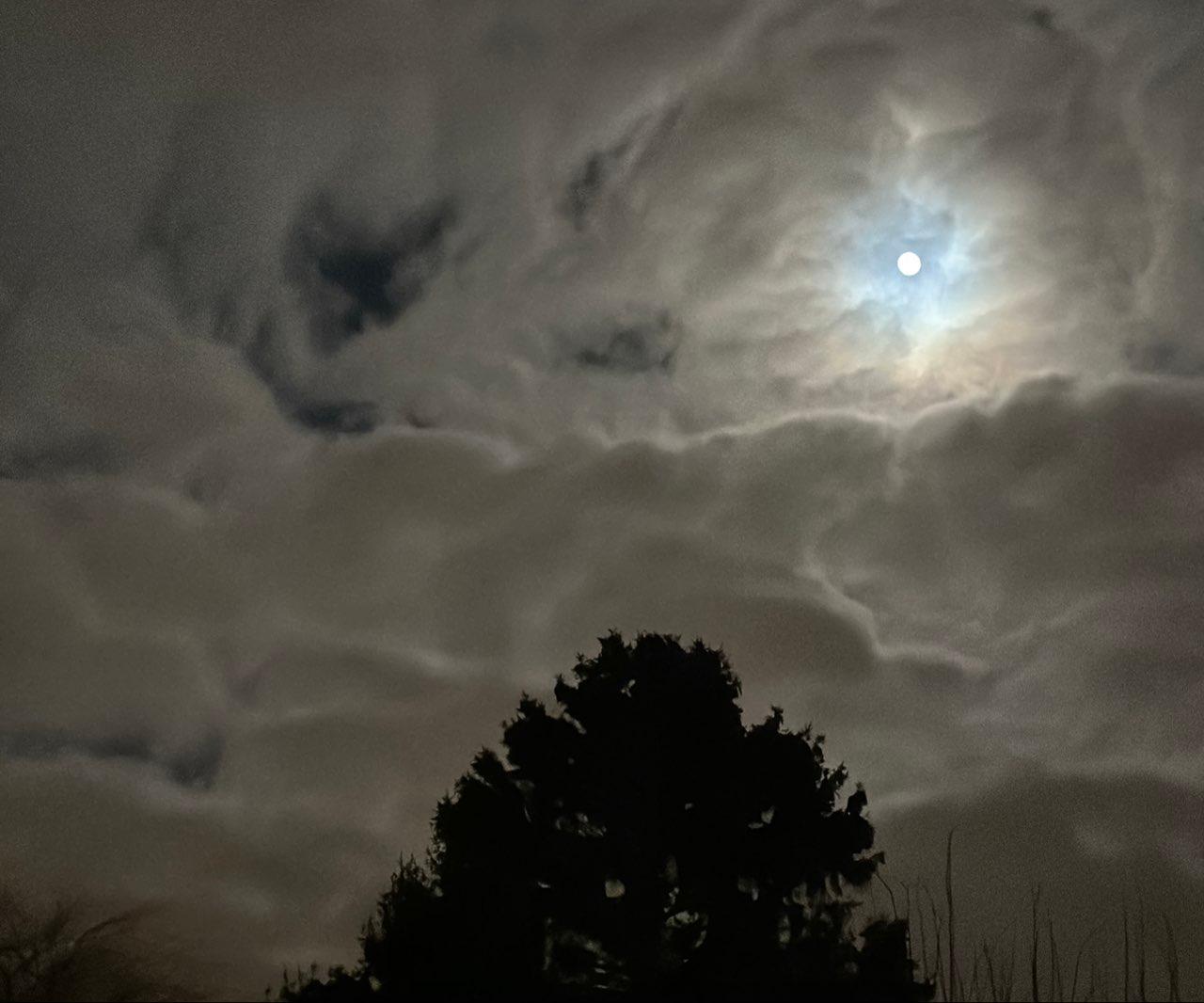 The Moon over Kraainem, Belgium — full moon, Lunar Day 14
