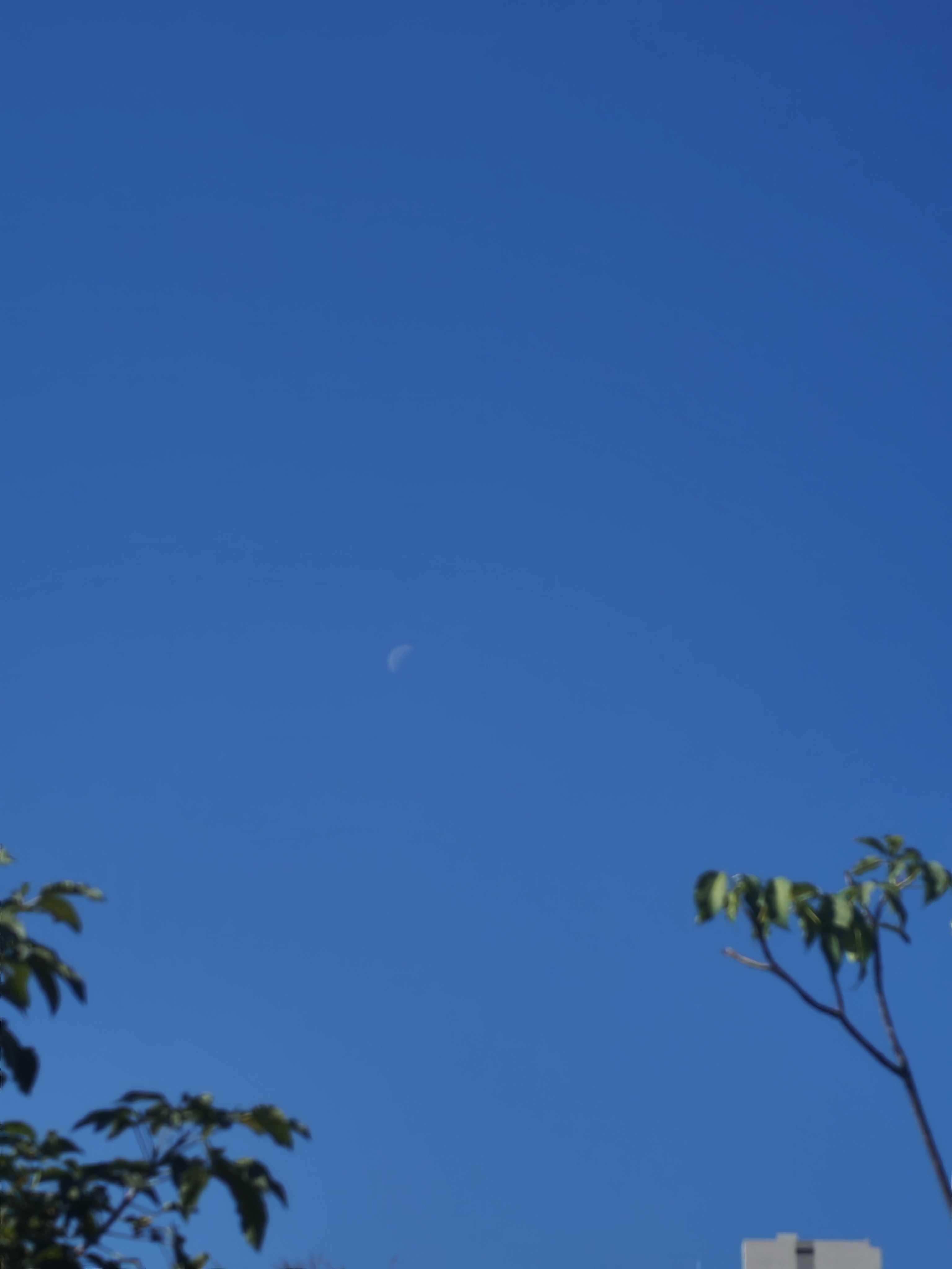 The Moon over San Pedro Tlaquepaque, México — last quarter, Lunar Day 22