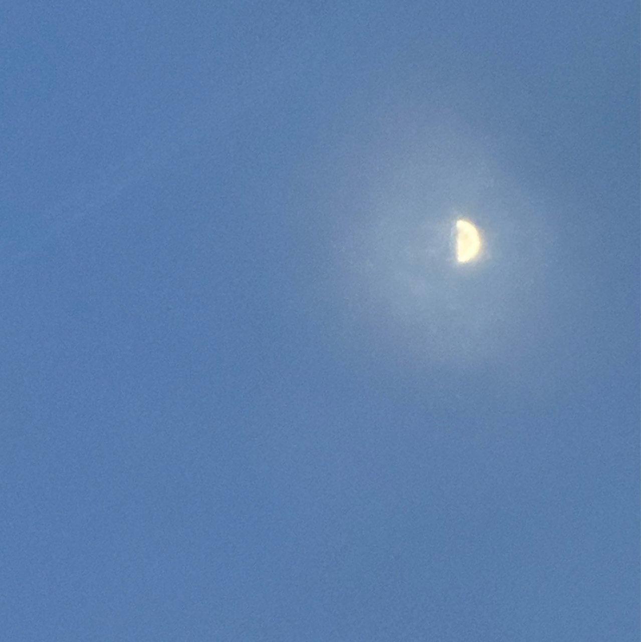 The Moon over Frankfurt, Germany — first quarter, Lunar Day 8