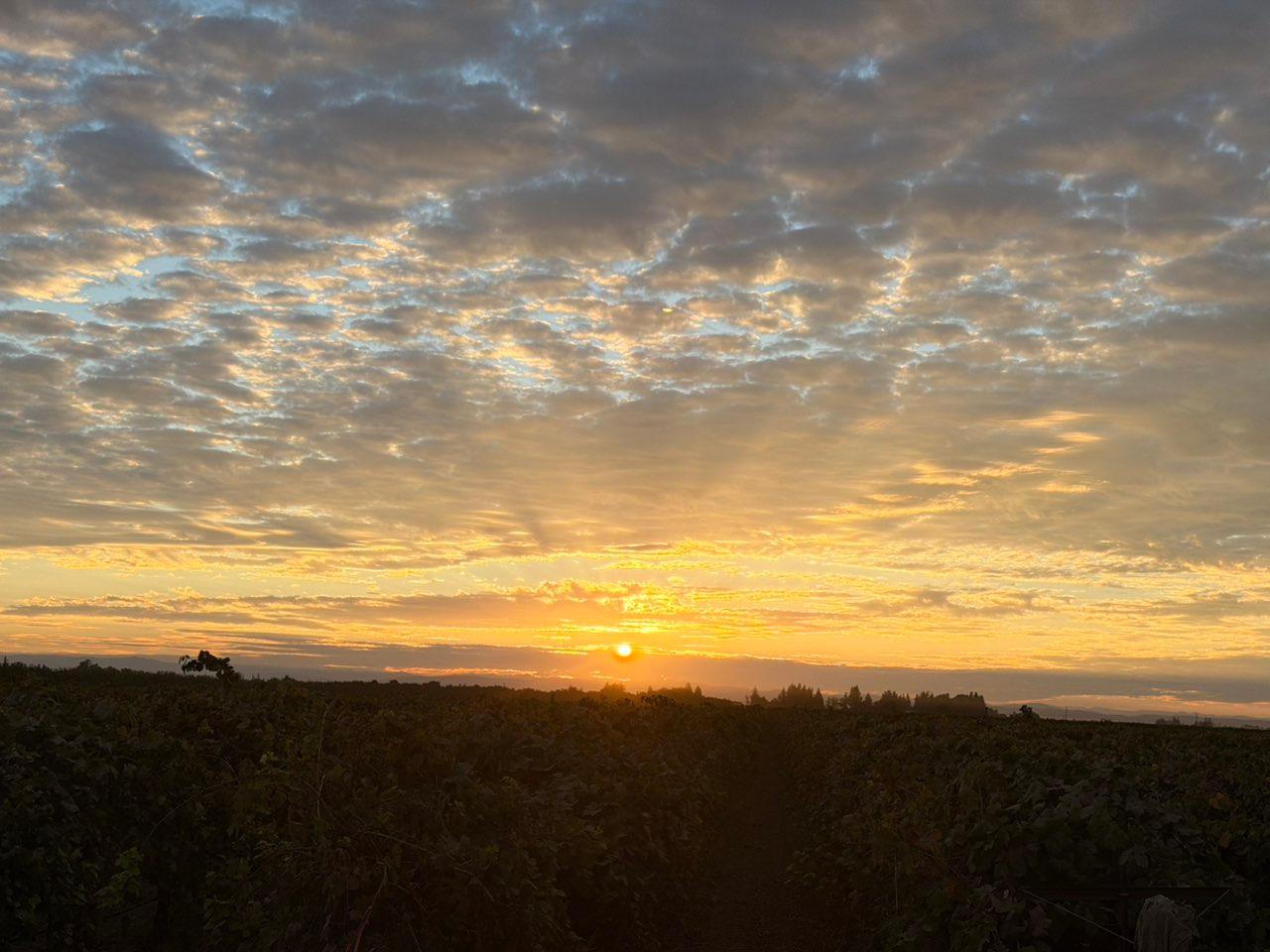 The Moon over Lodi, United States — new moon, Lunar Day 29
