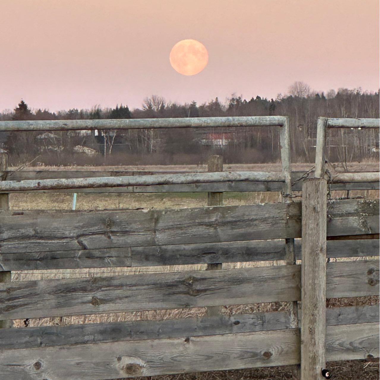 The Moon over Örebro, Sverige — full moon, Lunar Day 16