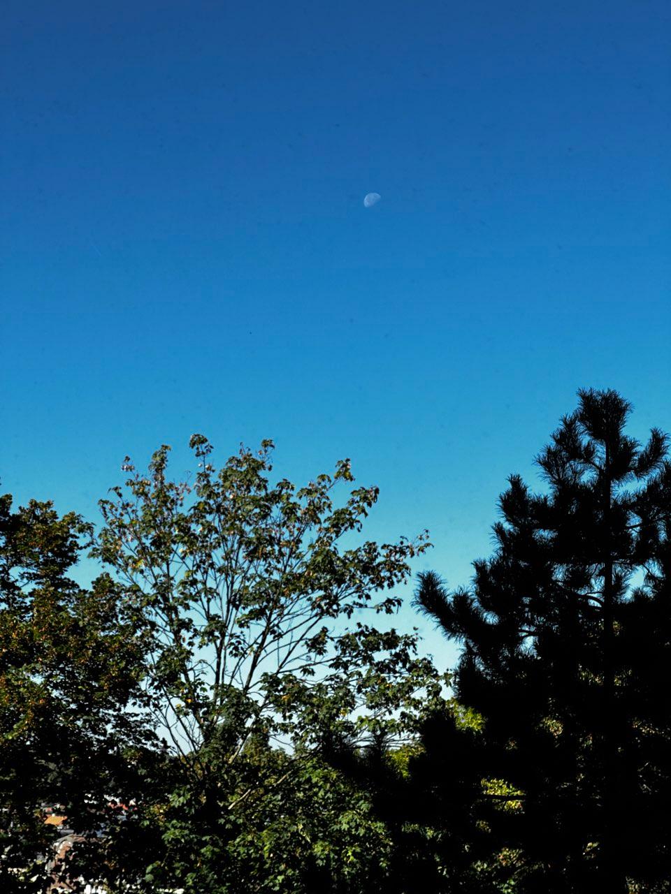 The Moon over Antwerpen, België — last quarter, Lunar Day 20