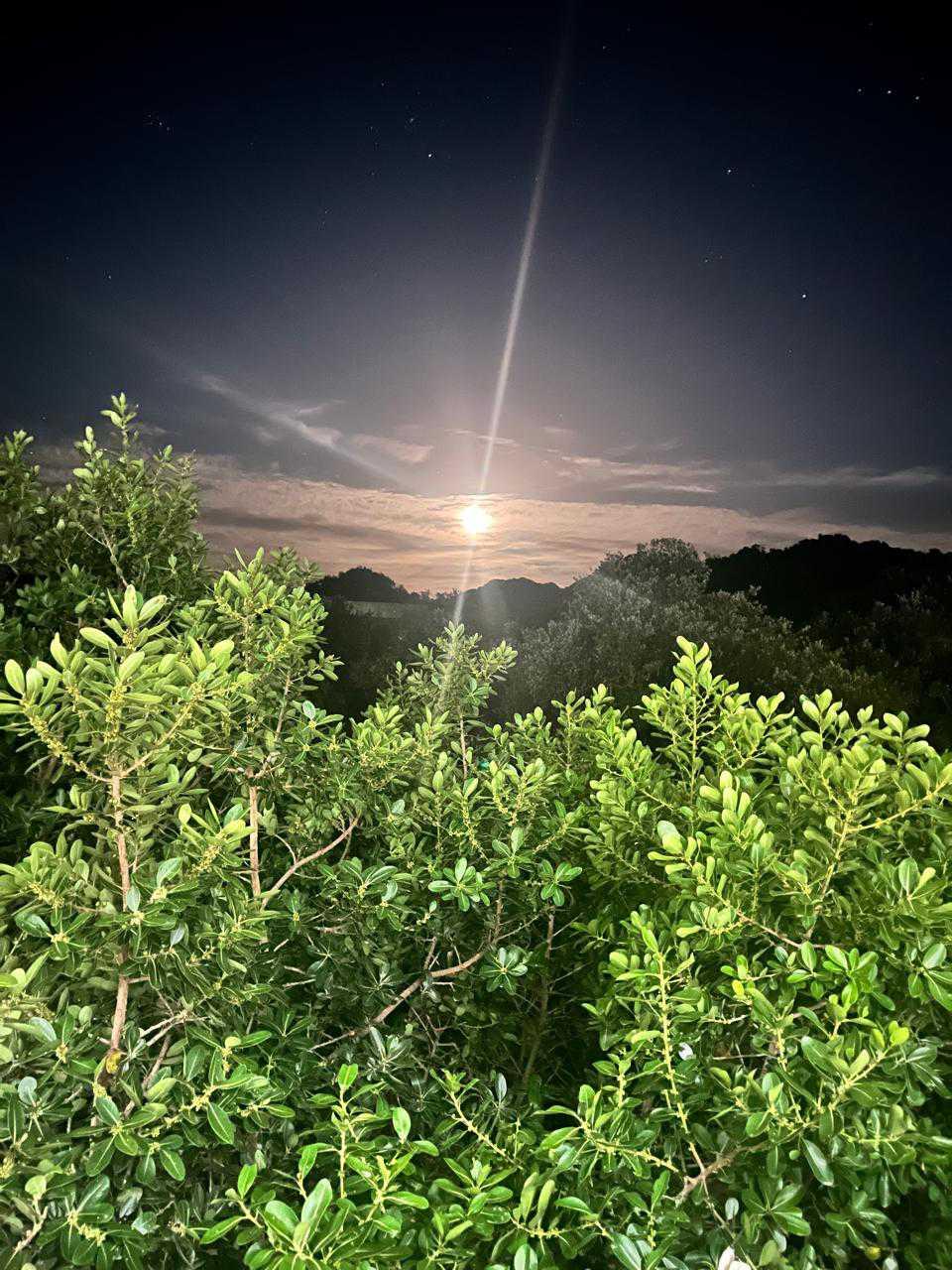 The Moon over Kempton Park, South Africa — full moon, Lunar Day 16