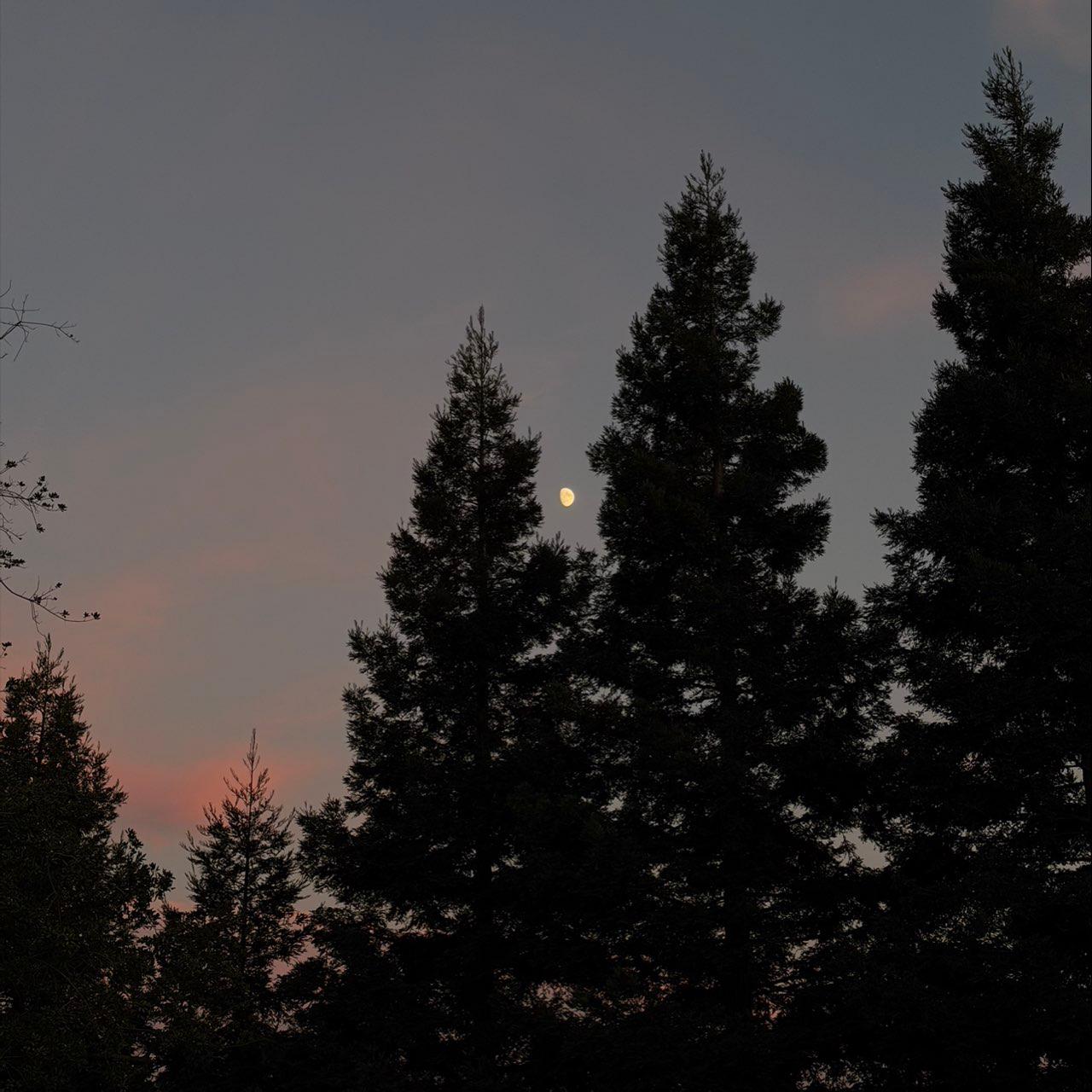 The Moon over Lodi, United States — waxing gibbous, Lunar Day 12