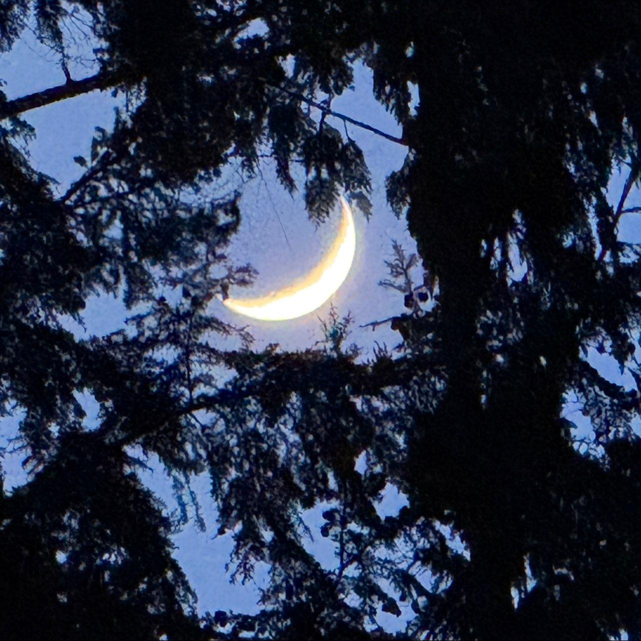 The Moon over Tofino, Canada — waxing crescent, Lunar Day 5
