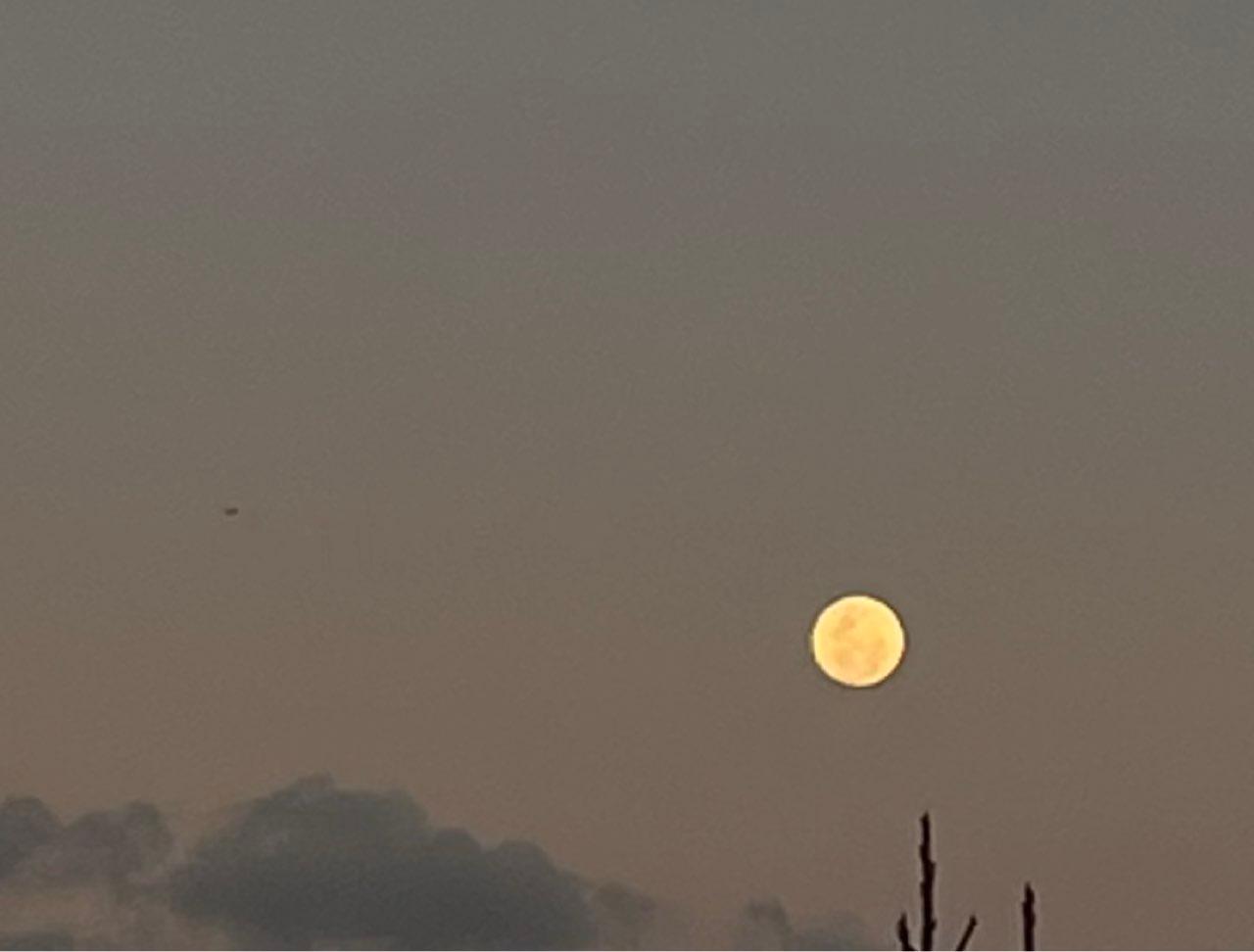The Moon over Adelaide, Australia — full moon, Lunar Day 16