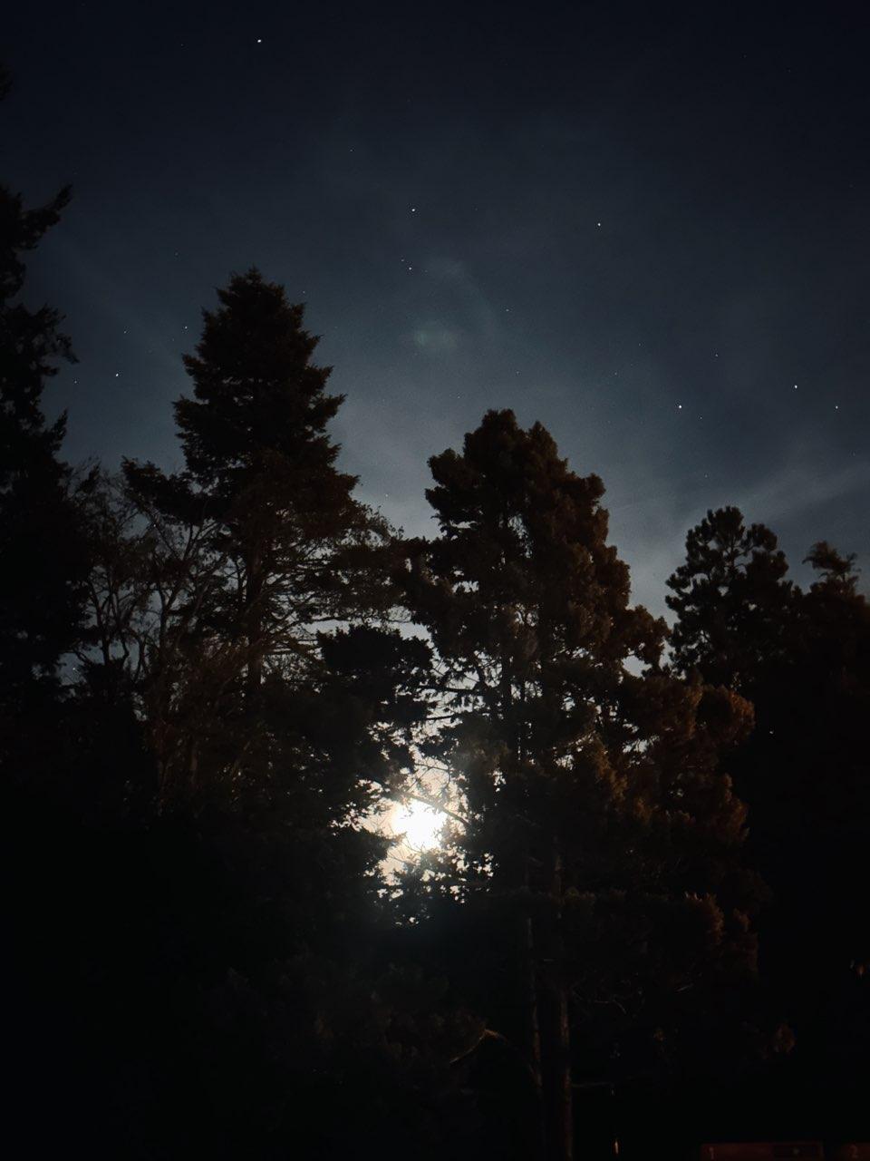 The Moon over Sidney, Canada — full moon, Lunar Day 16