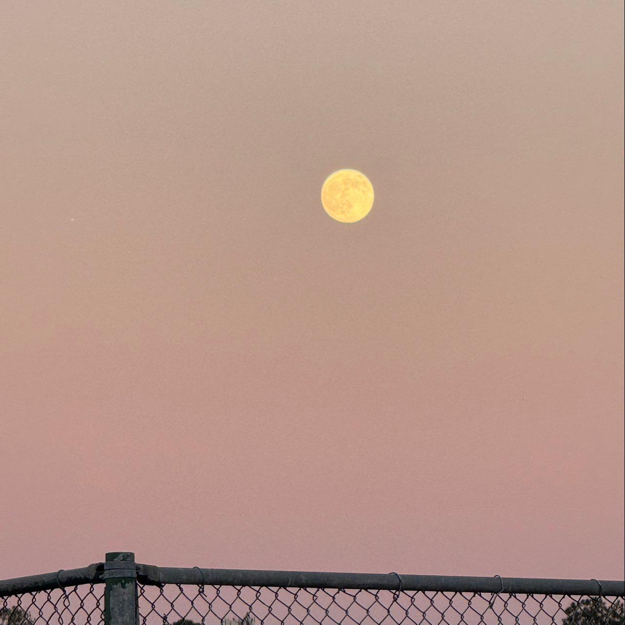 The Moon over Waycross, United States — full moon, Lunar Day 16