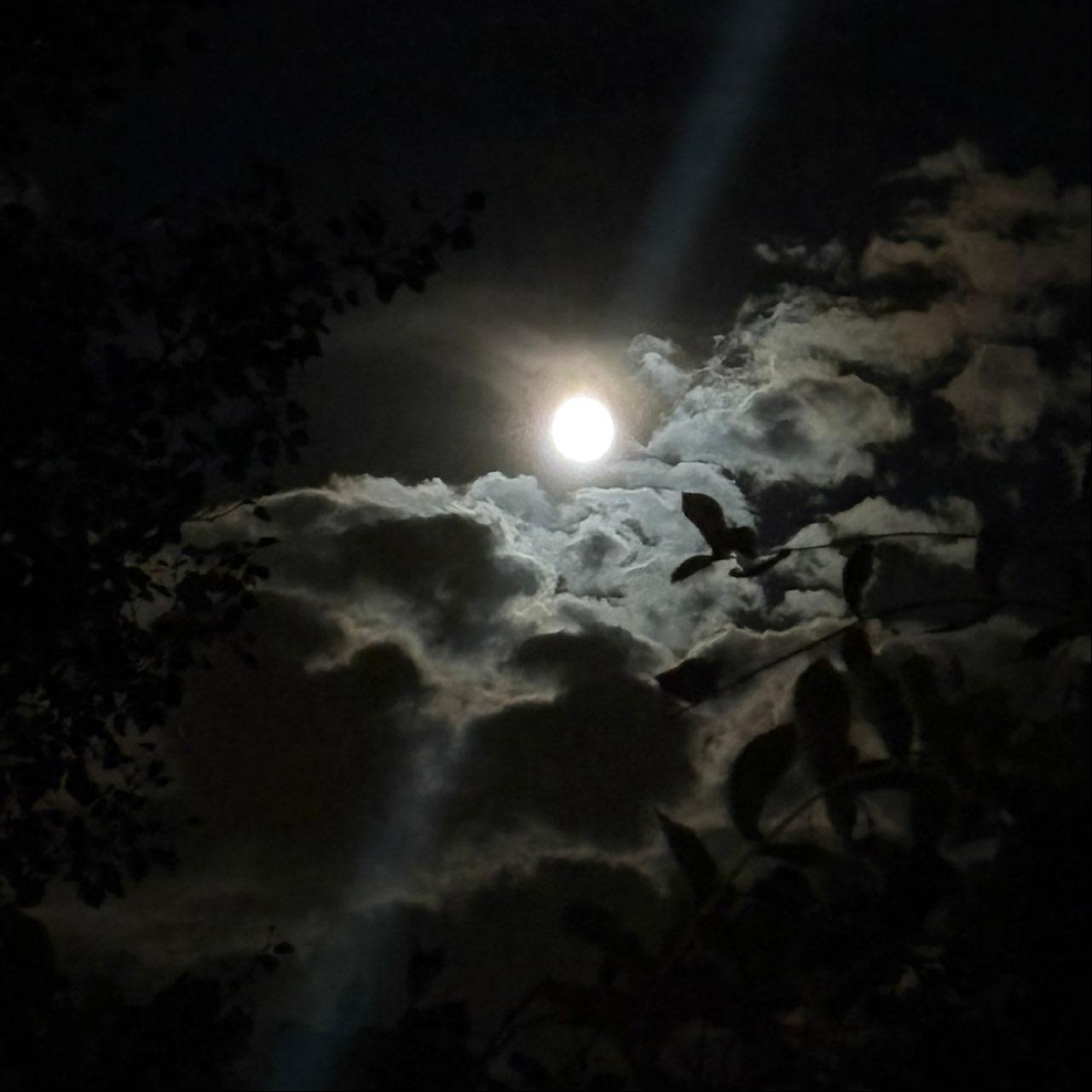 The Moon over Denver, United States — full moon, Lunar Day 17