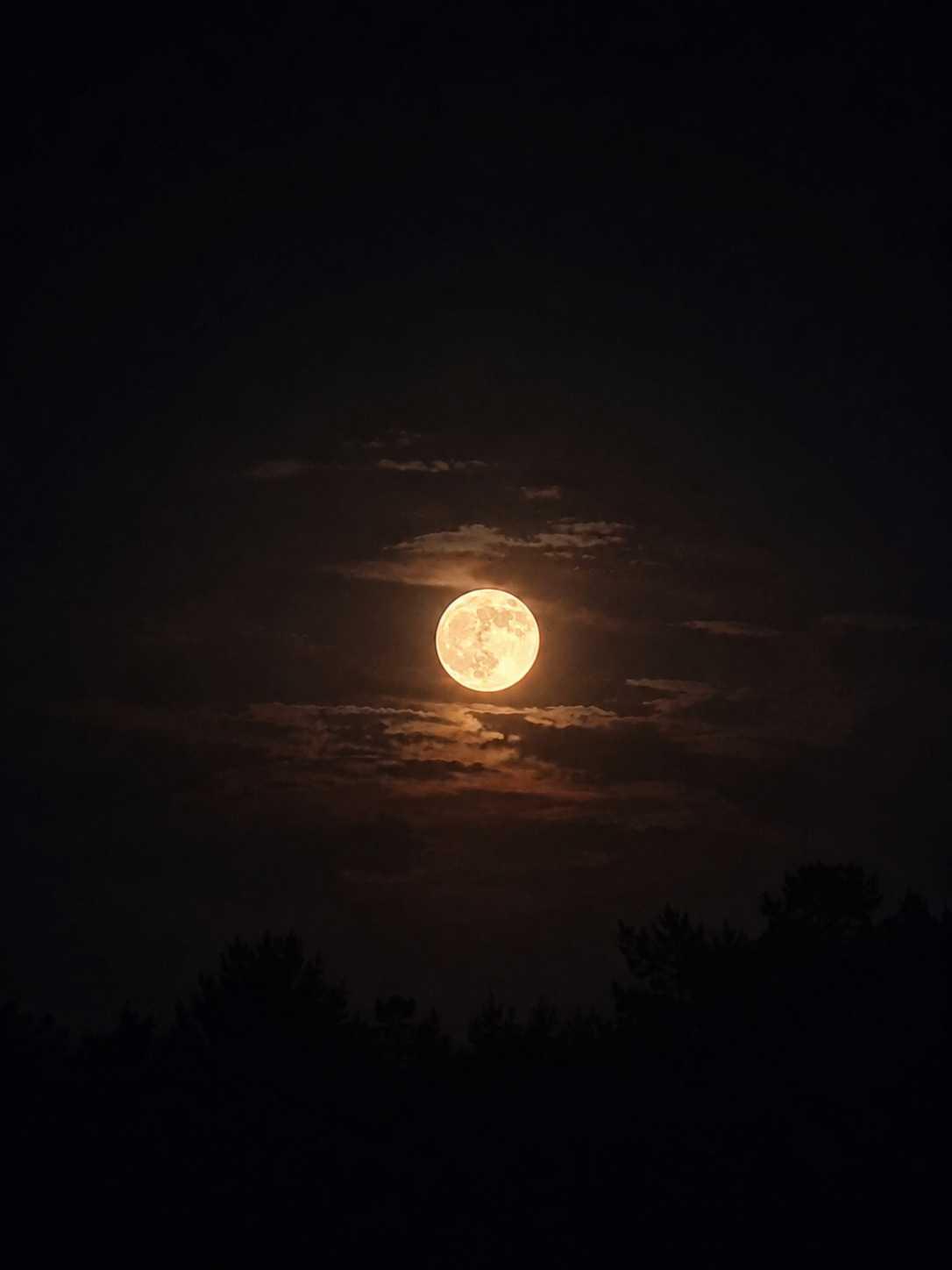 The Moon over Bór, Polska — full moon, Lunar Day 15