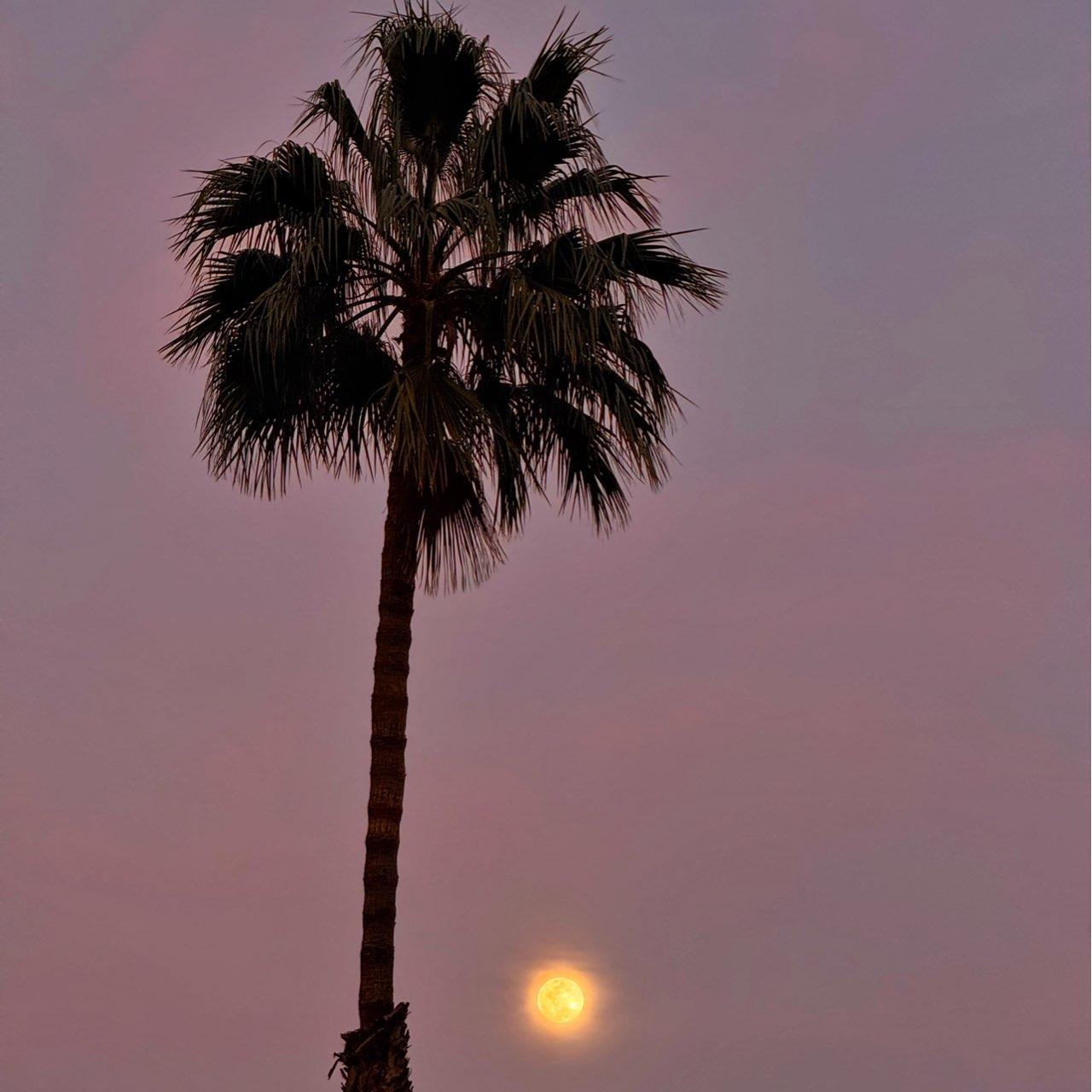 The Moon over Las Palmas de Gran Canaria, España — full moon, Lunar Day 14