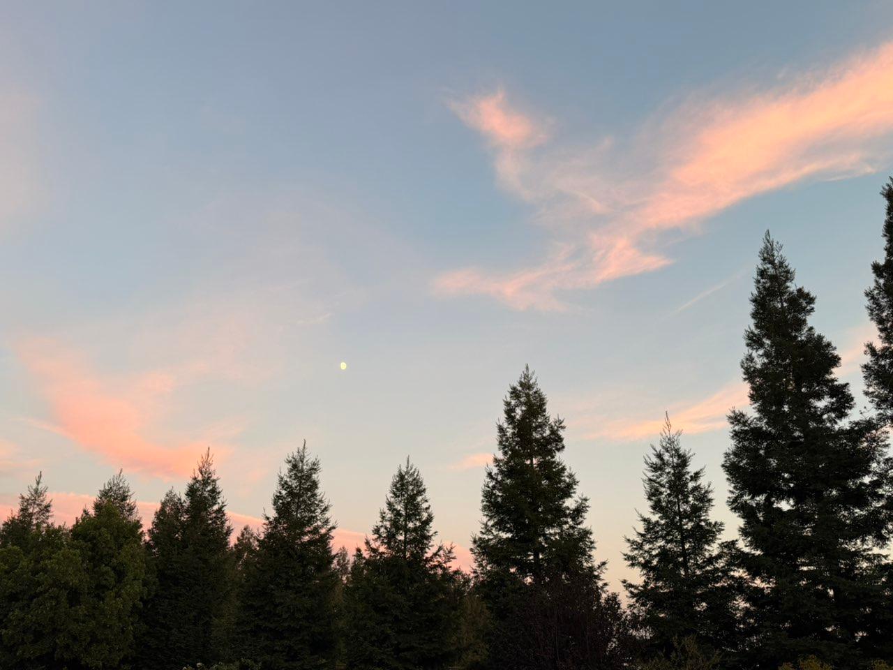 The Moon over Lodi, United States — waxing gibbous, Lunar Day 12