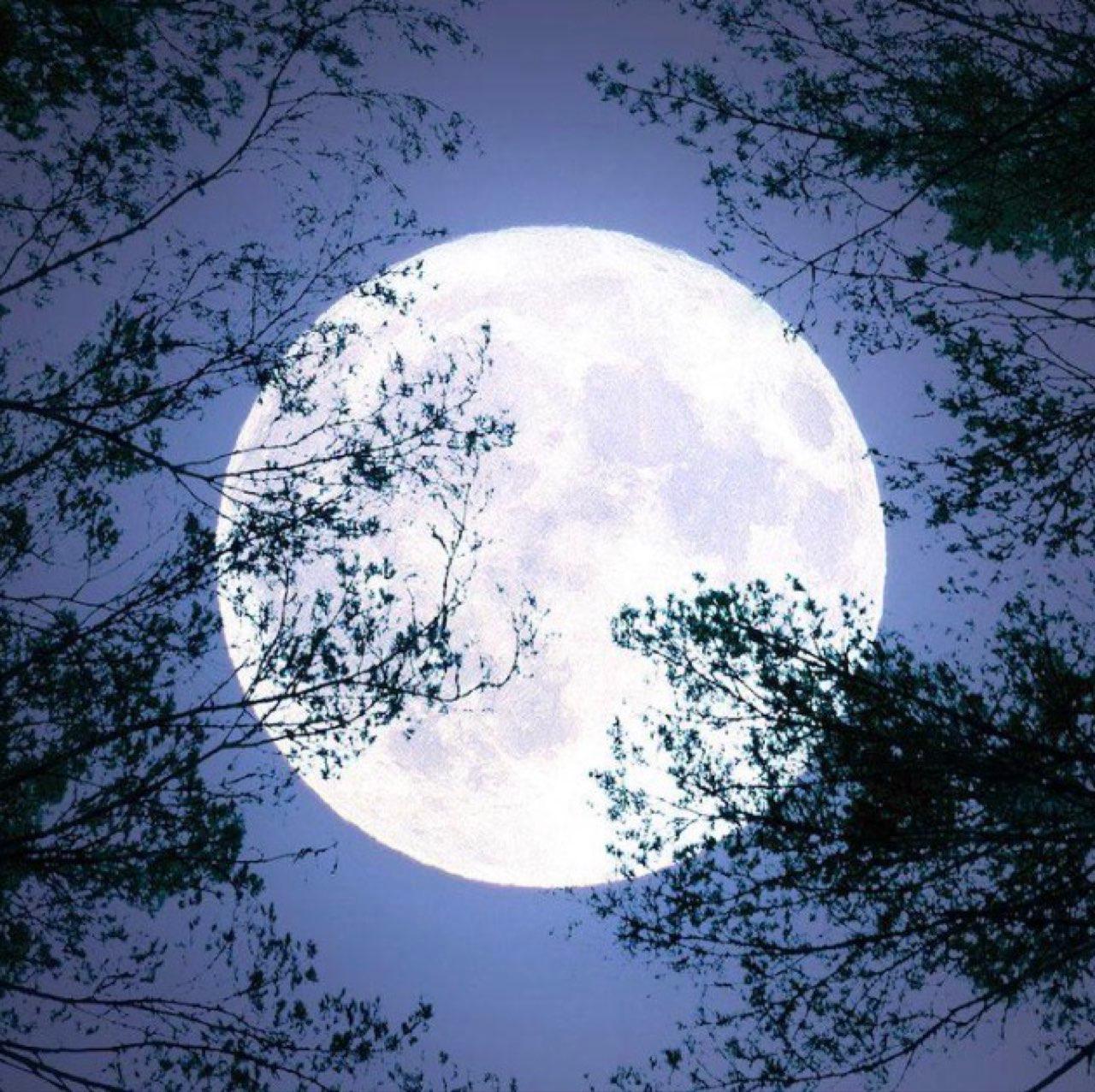 The Moon over Blackwood, United States — new moon, Lunar Day 28