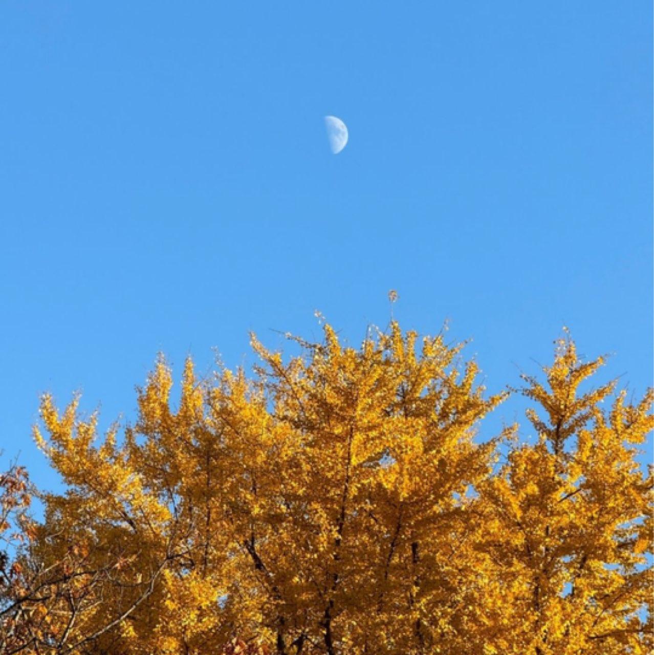 The Moon over Toulouse, Francia — first quarter, Lunar Day 9