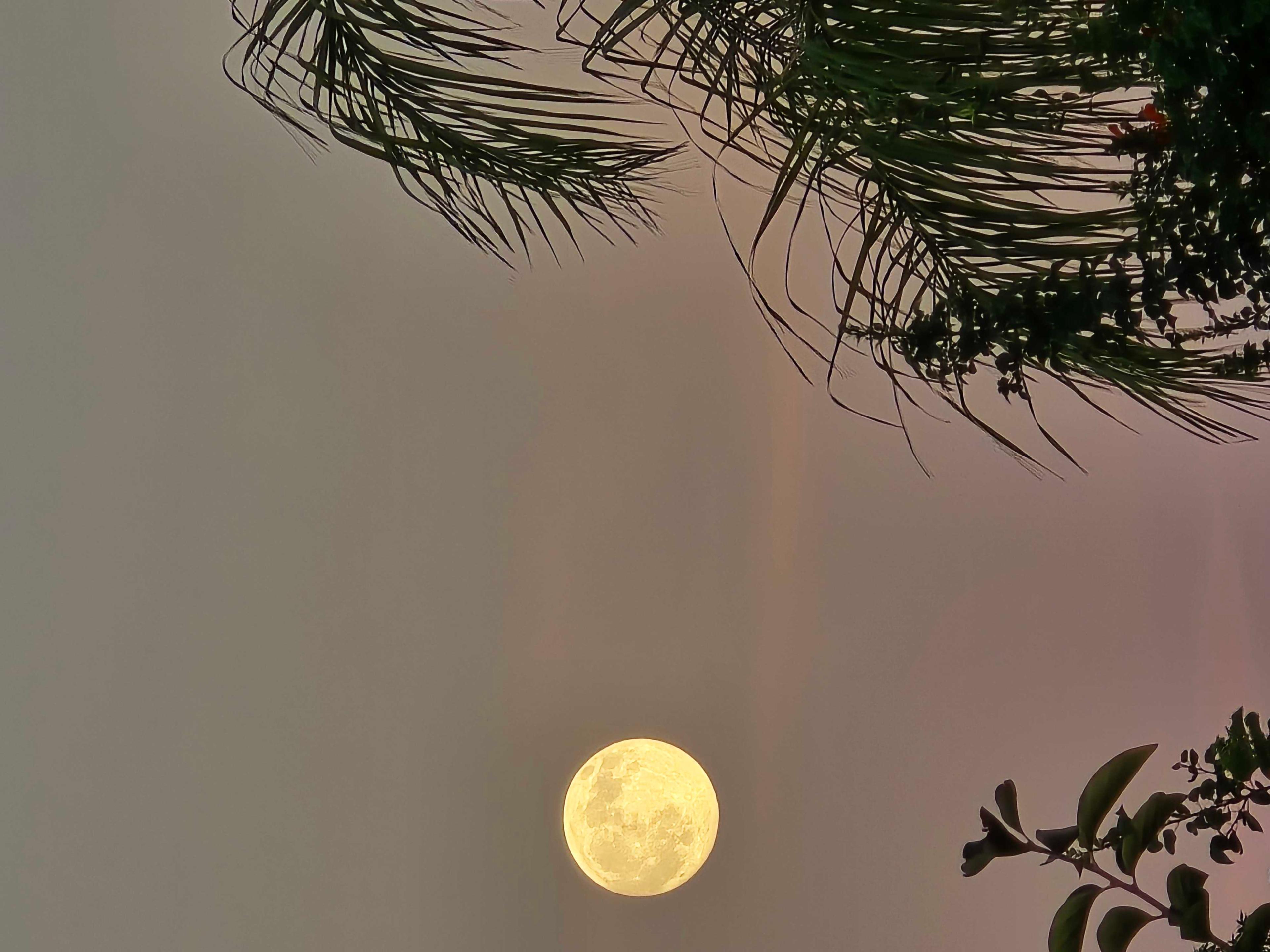 The Moon over Loma Linda, United States — full moon, Lunar Day 16