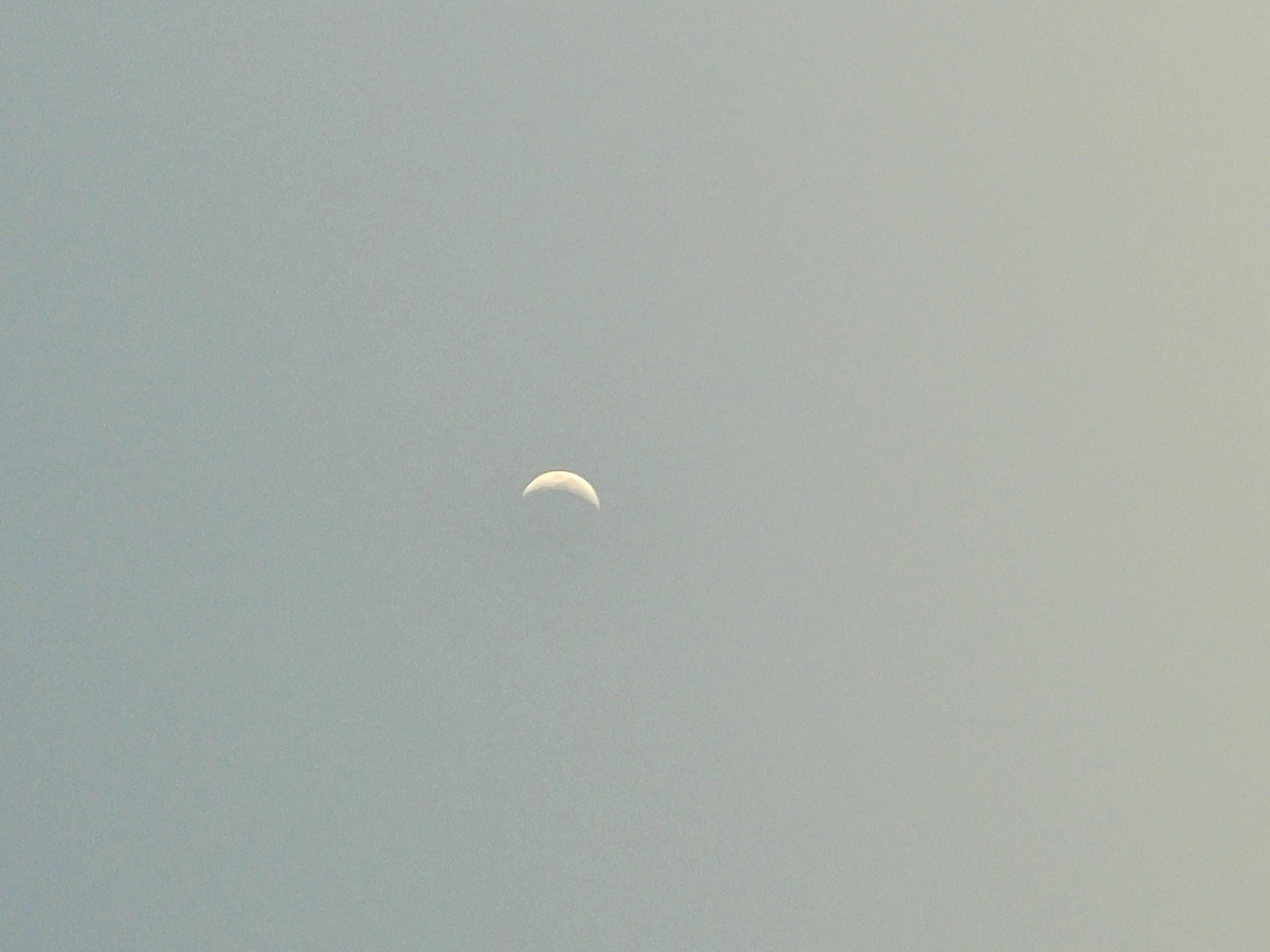 The Moon over Norfolk County, Canada — waxing gibbous, Lunar Day 12