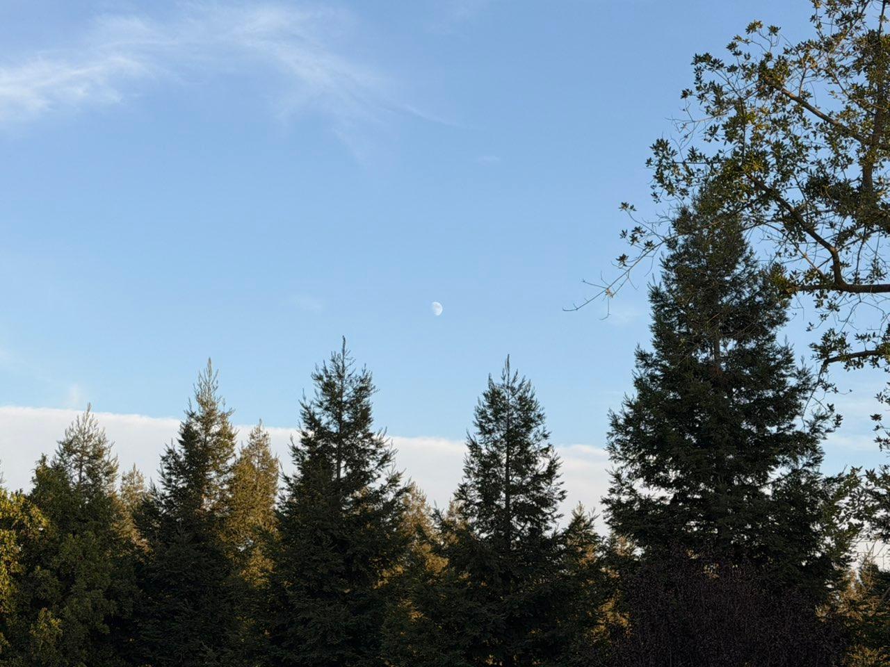 The Moon over Lodi, United States — waxing gibbous, Lunar Day 12