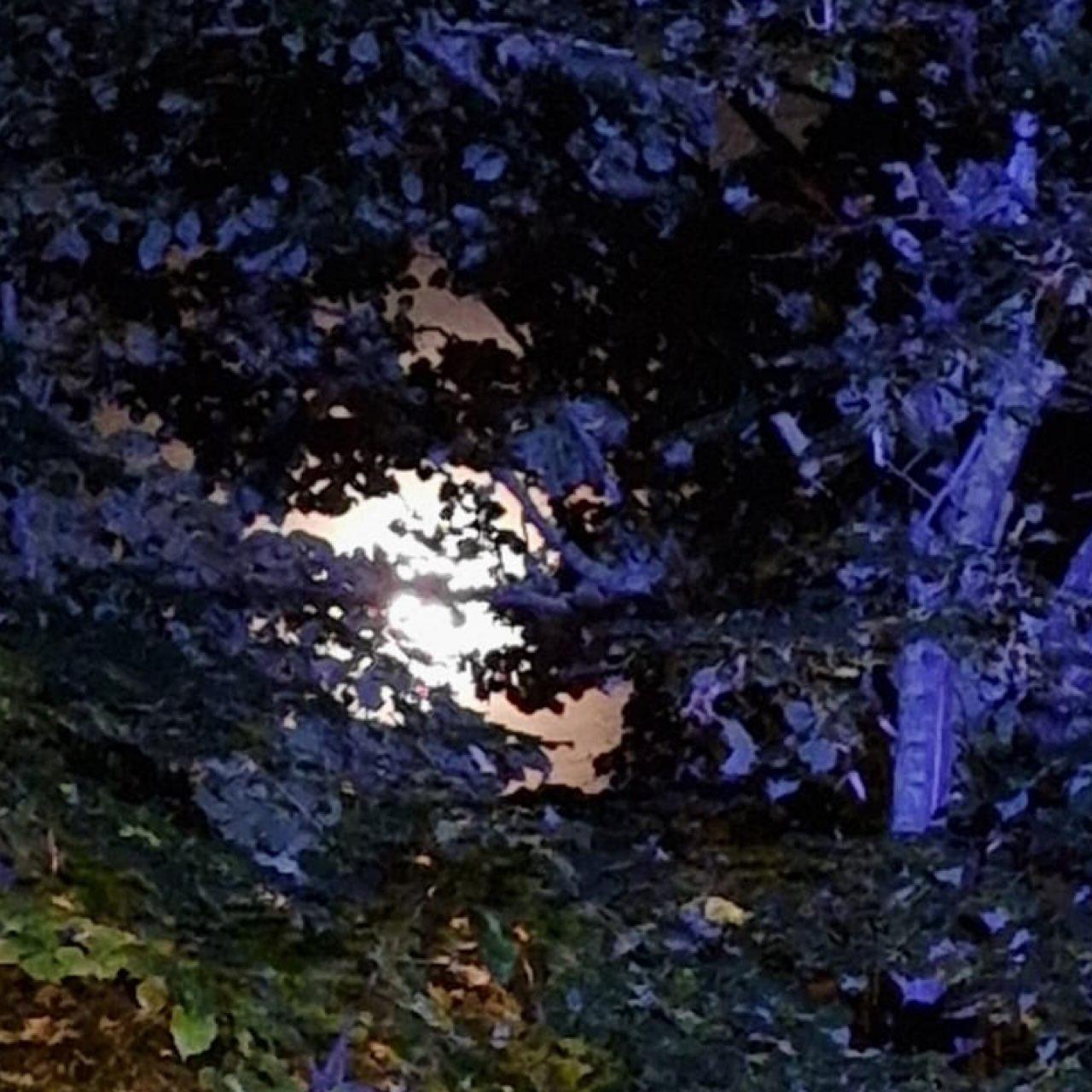 The Moon over Acqui Terme, Italia — waxing gibbous, Lunar Day 13