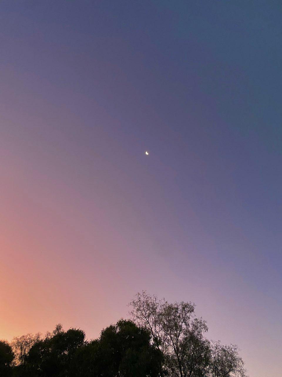 The Moon over Salisbury Heights, Australia — first quarter, Lunar Day 6