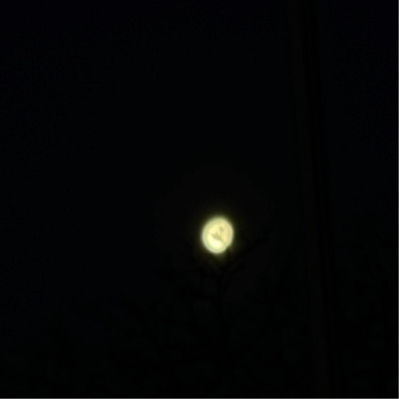 The Moon over Lingenfeld, Deutschland — waning gibbous, Lunar Day 18