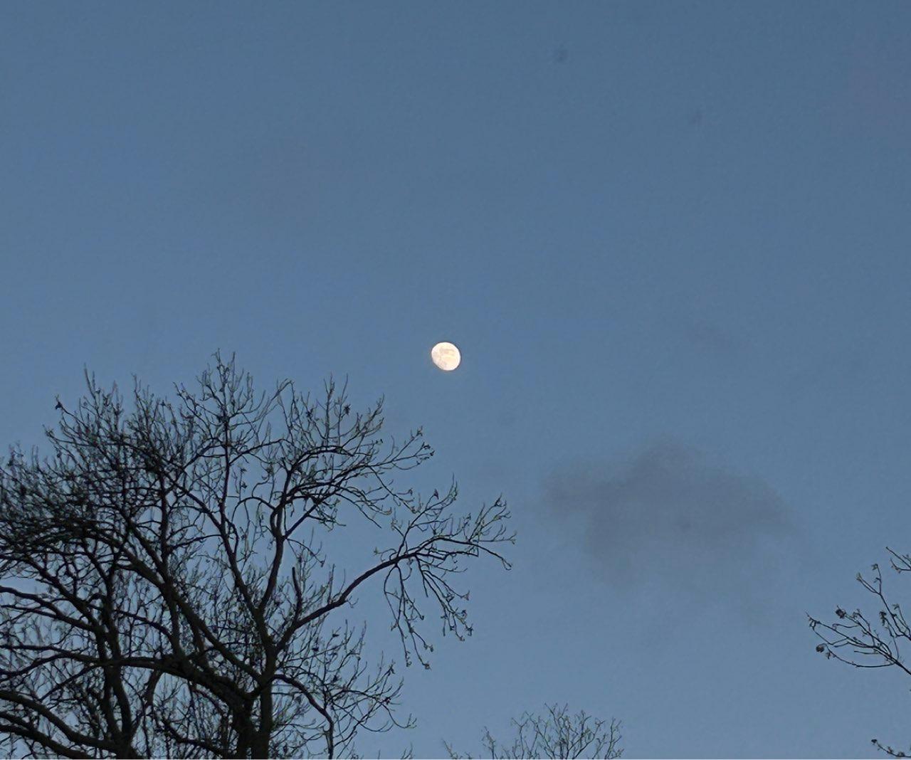 The Moon over Vulaines-sur-Seine, France — waxing gibbous, Lunar Day 12