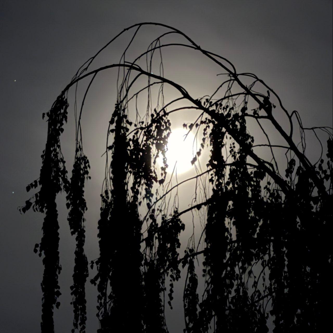 The Moon over Lodi, United States — first quarter, Lunar Day 10