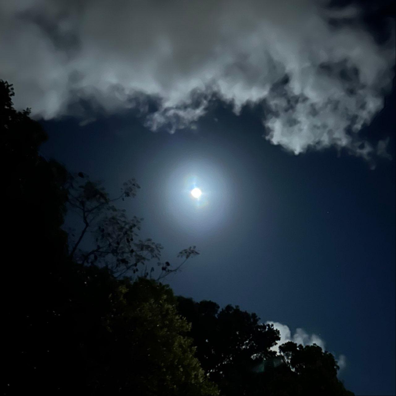 The Moon over Wellington, New Zealand — full moon, Lunar Day 15