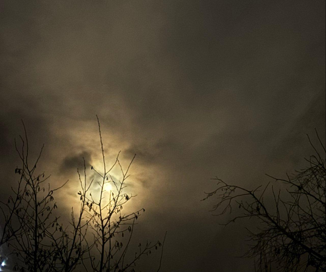 The Moon over Poitiers, France — full moon, Lunar Day 15
