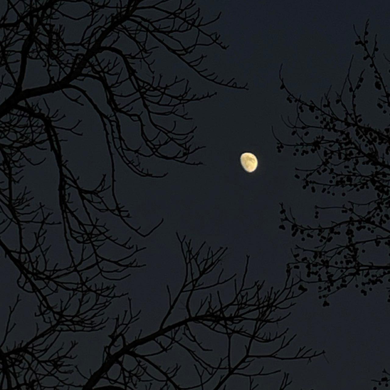 The Moon over Rubiera, Italia — waxing gibbous, Lunar Day 12