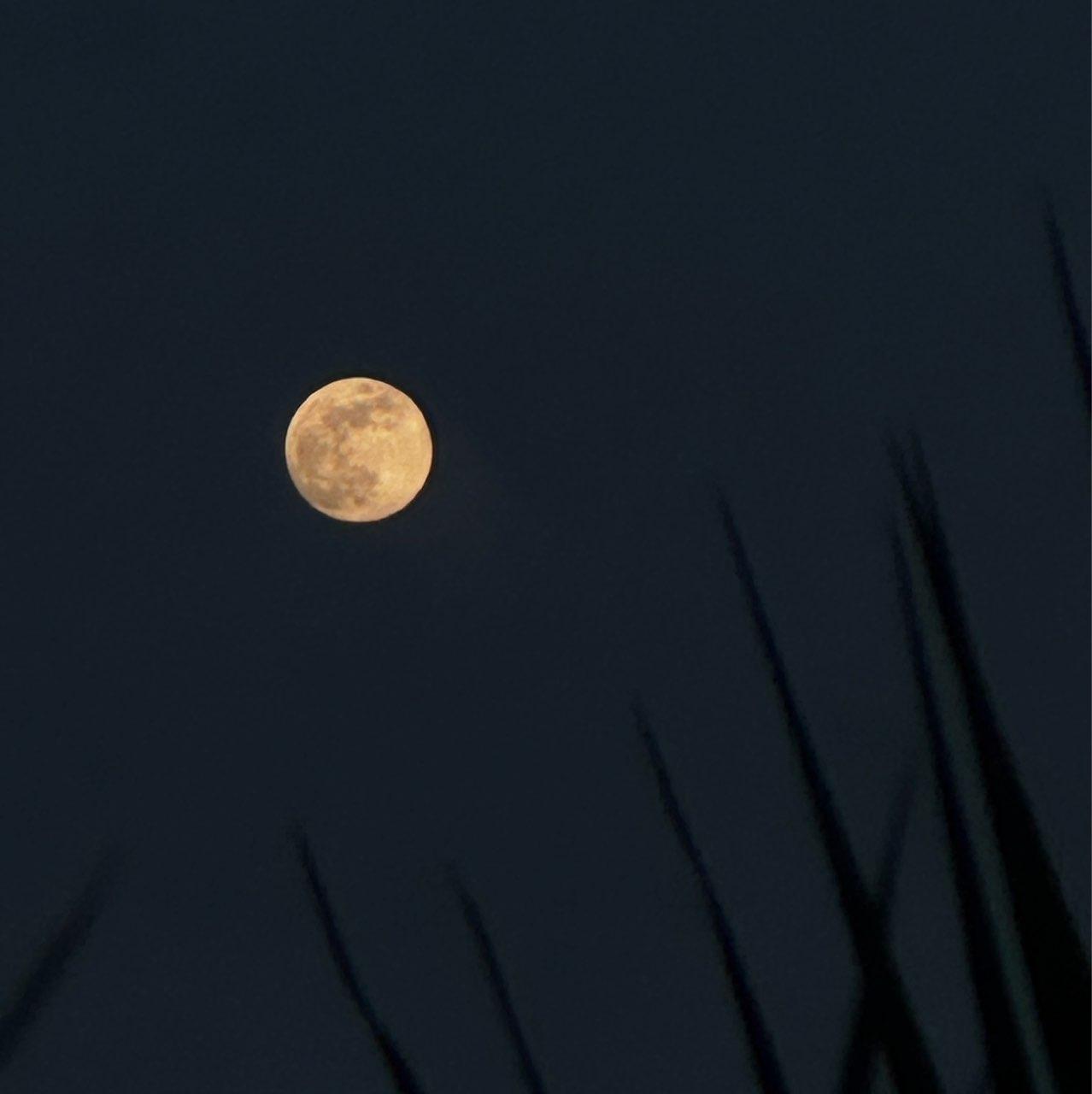 The Moon over Frankfurt, Germany — full moon, Lunar Day 15