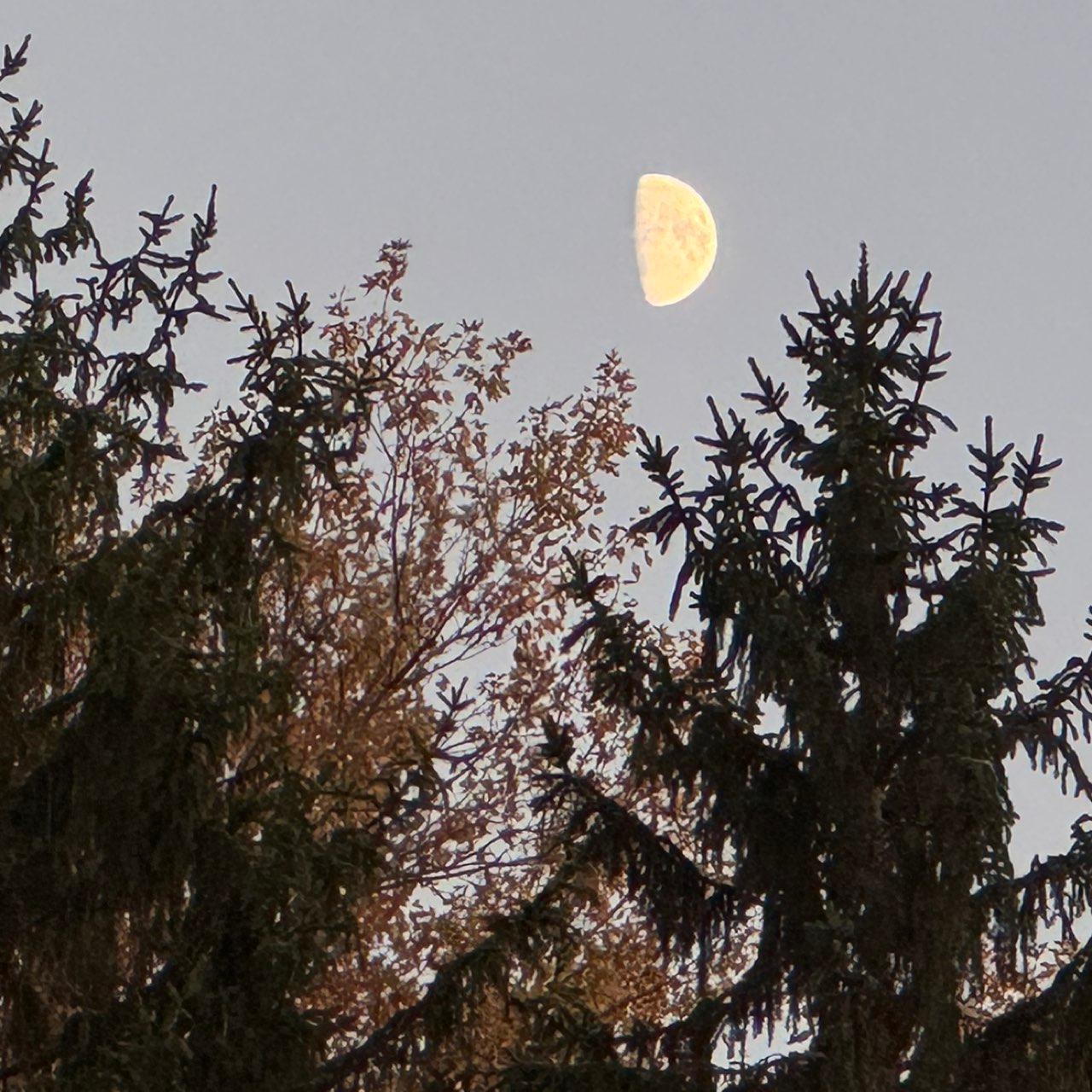The Moon over Verona, United States — first quarter, Lunar Day 10